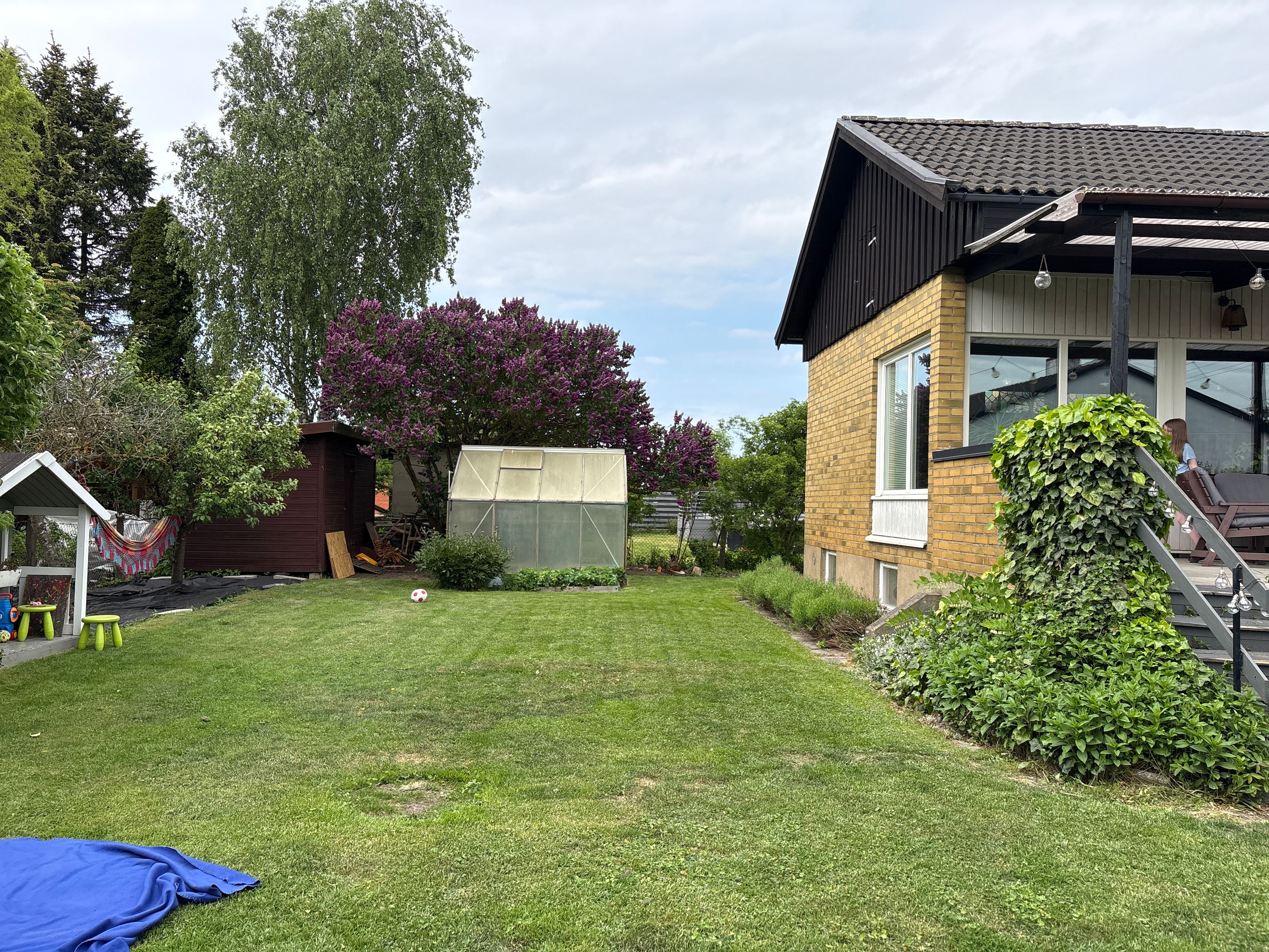 image-16