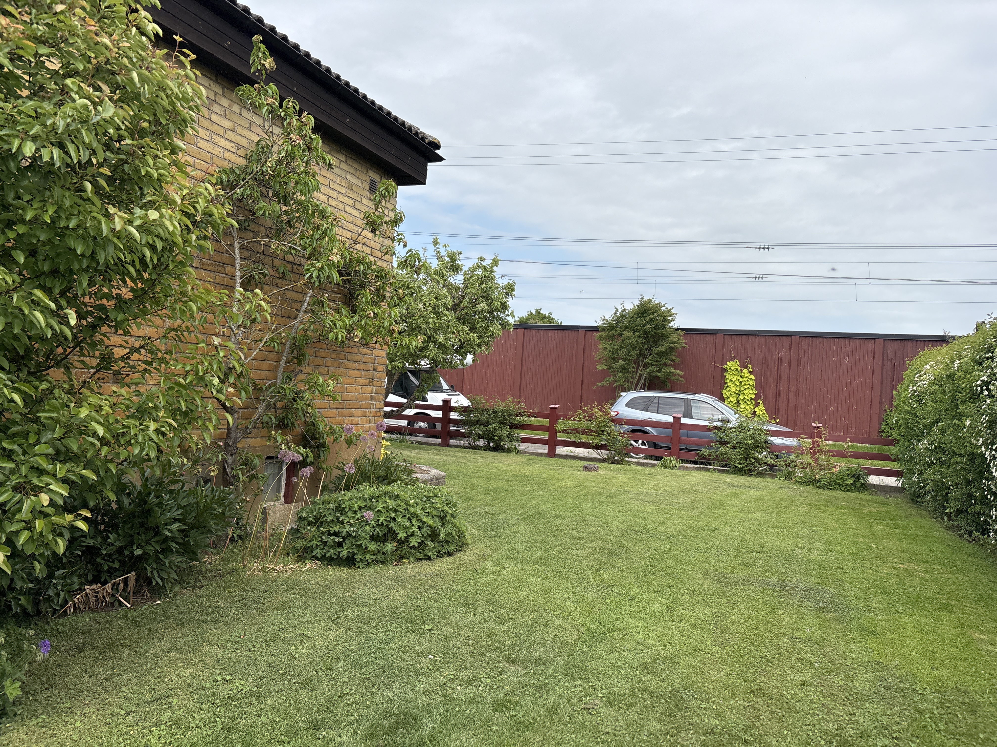 image-19