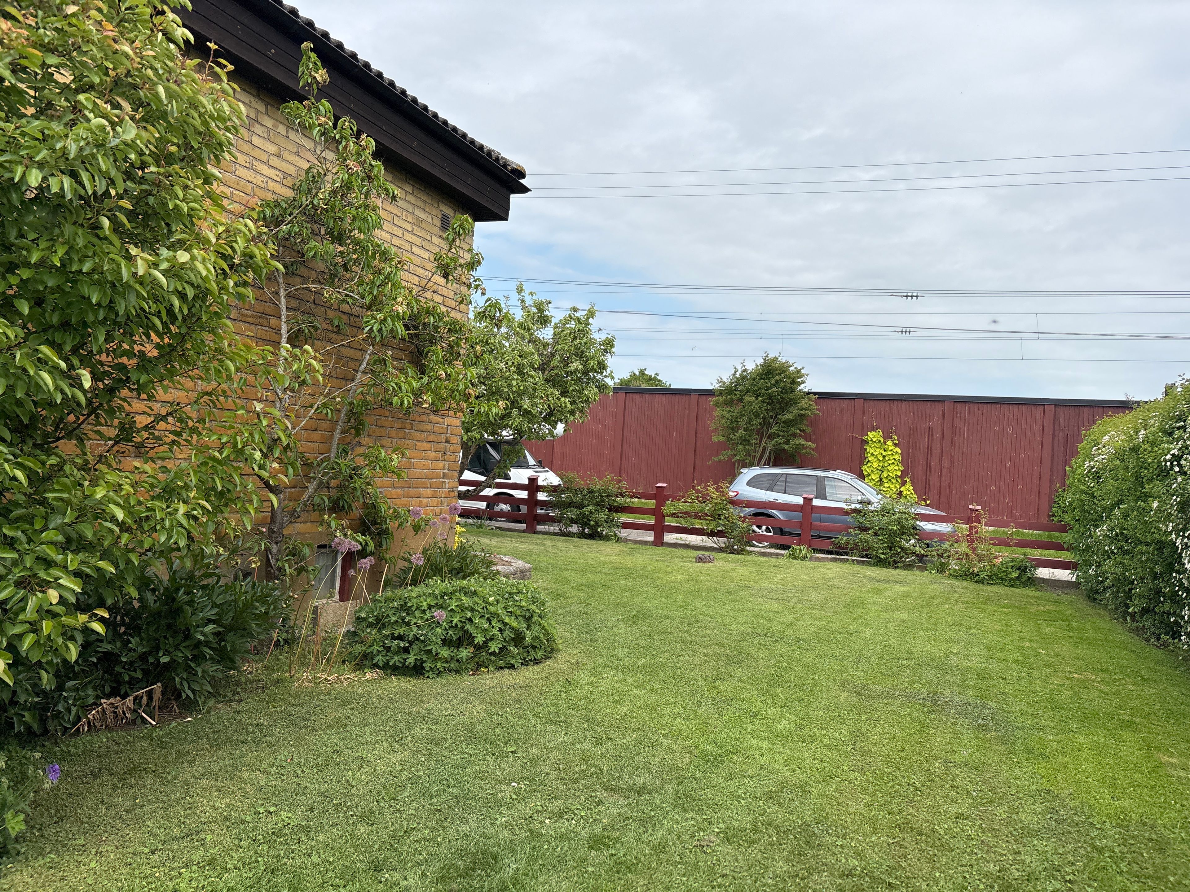image-19