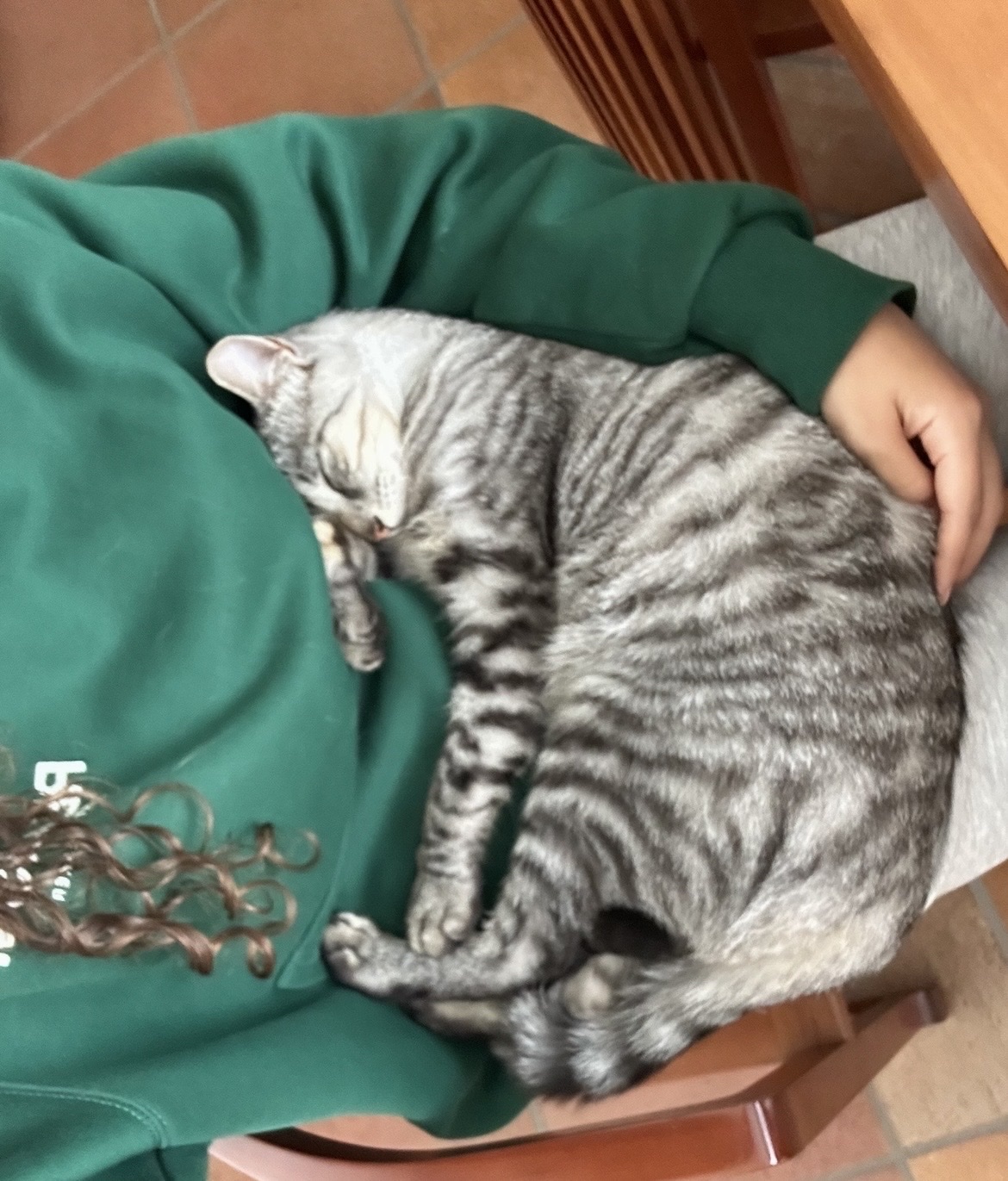 image-7