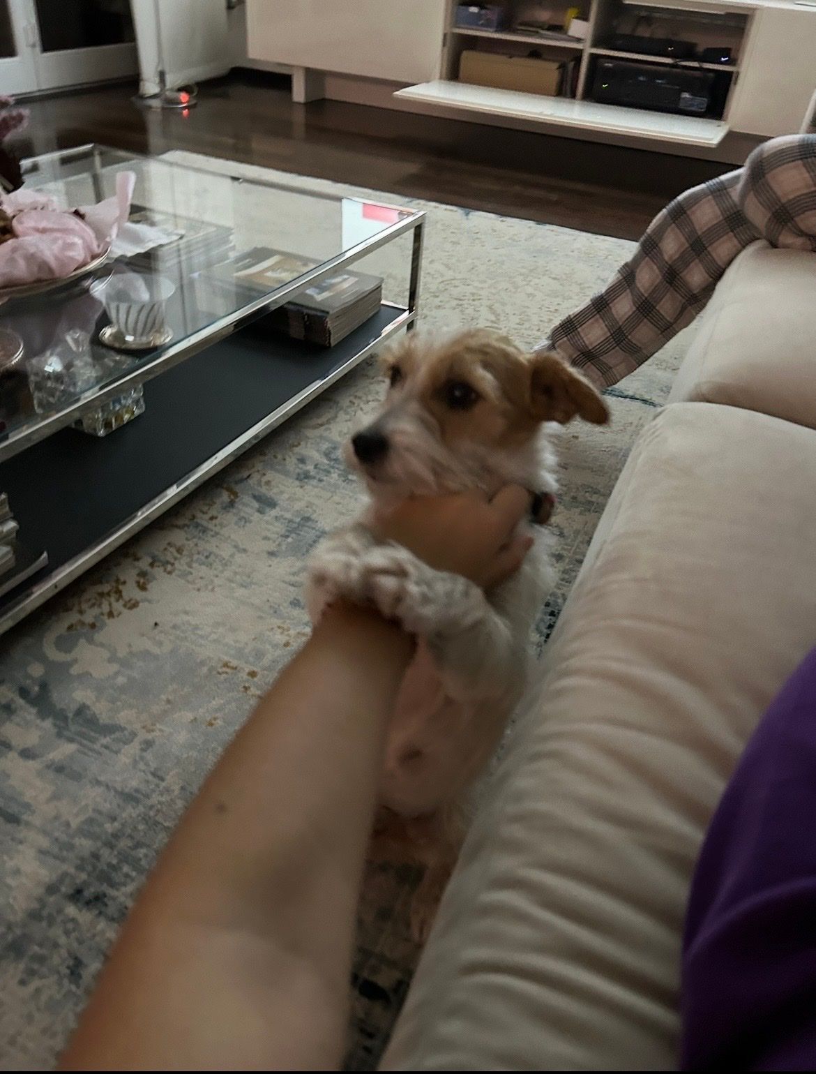 image-4