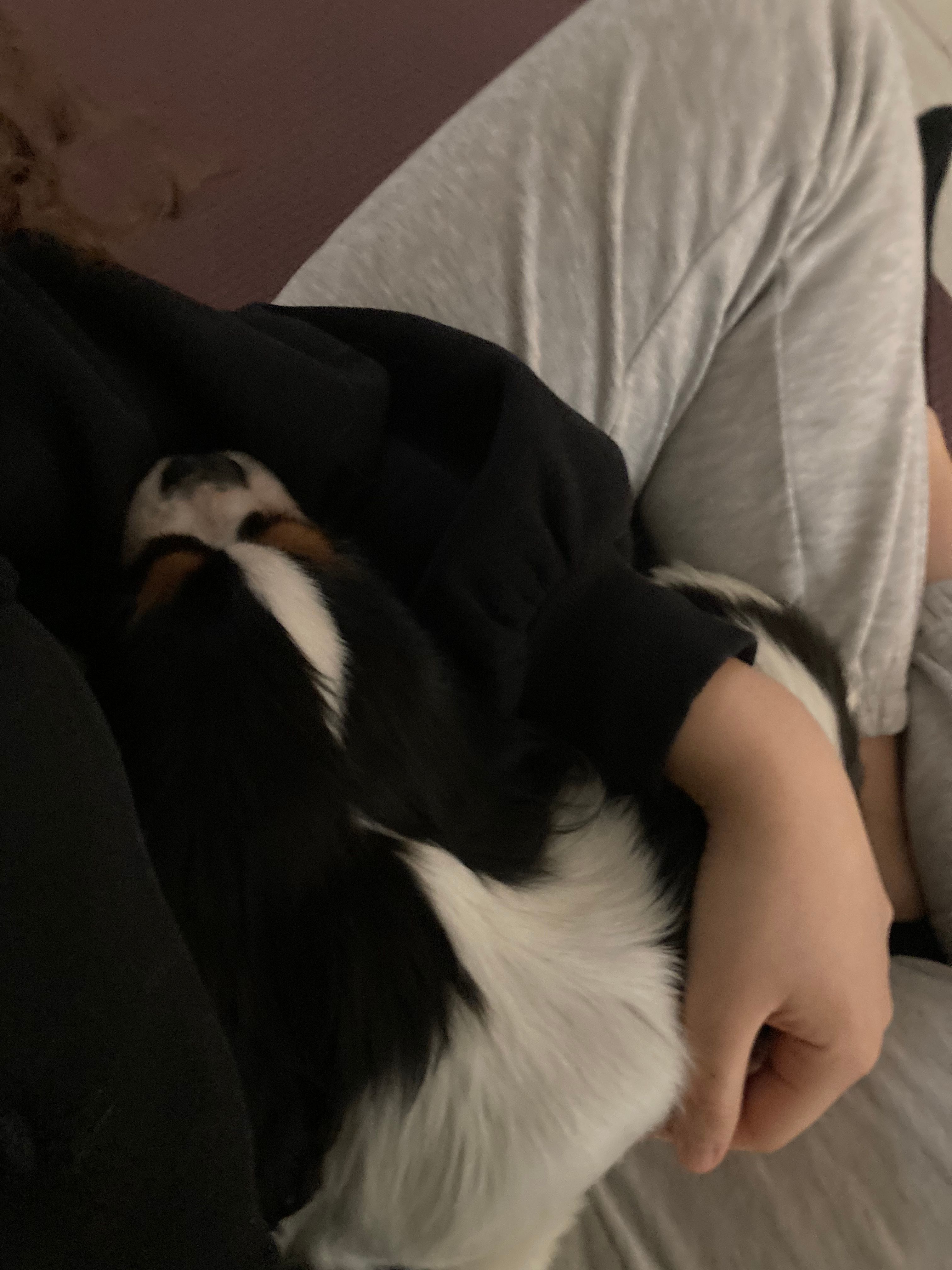 image-12
