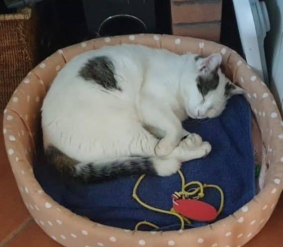image-8
