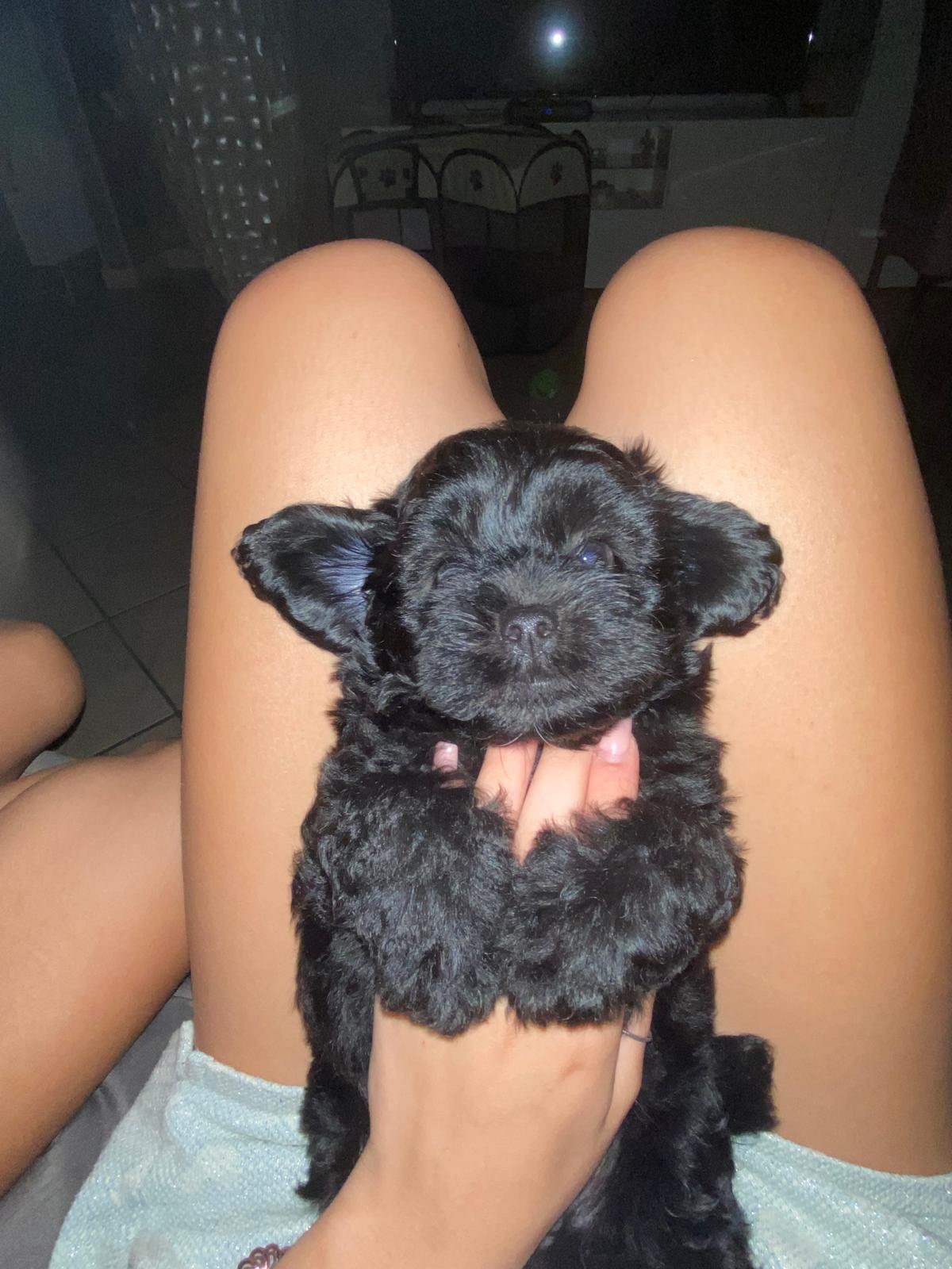 image-6