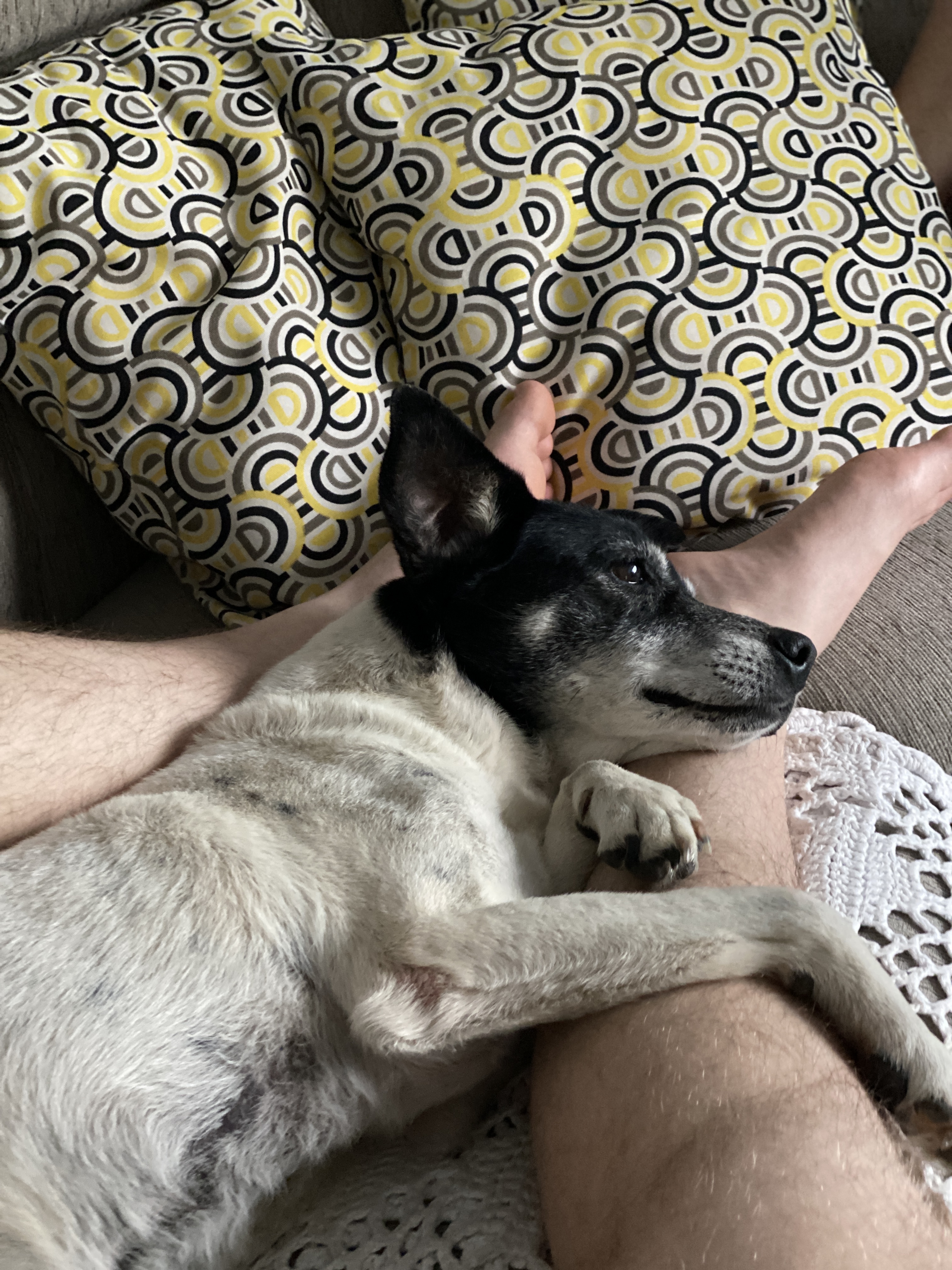 image-5