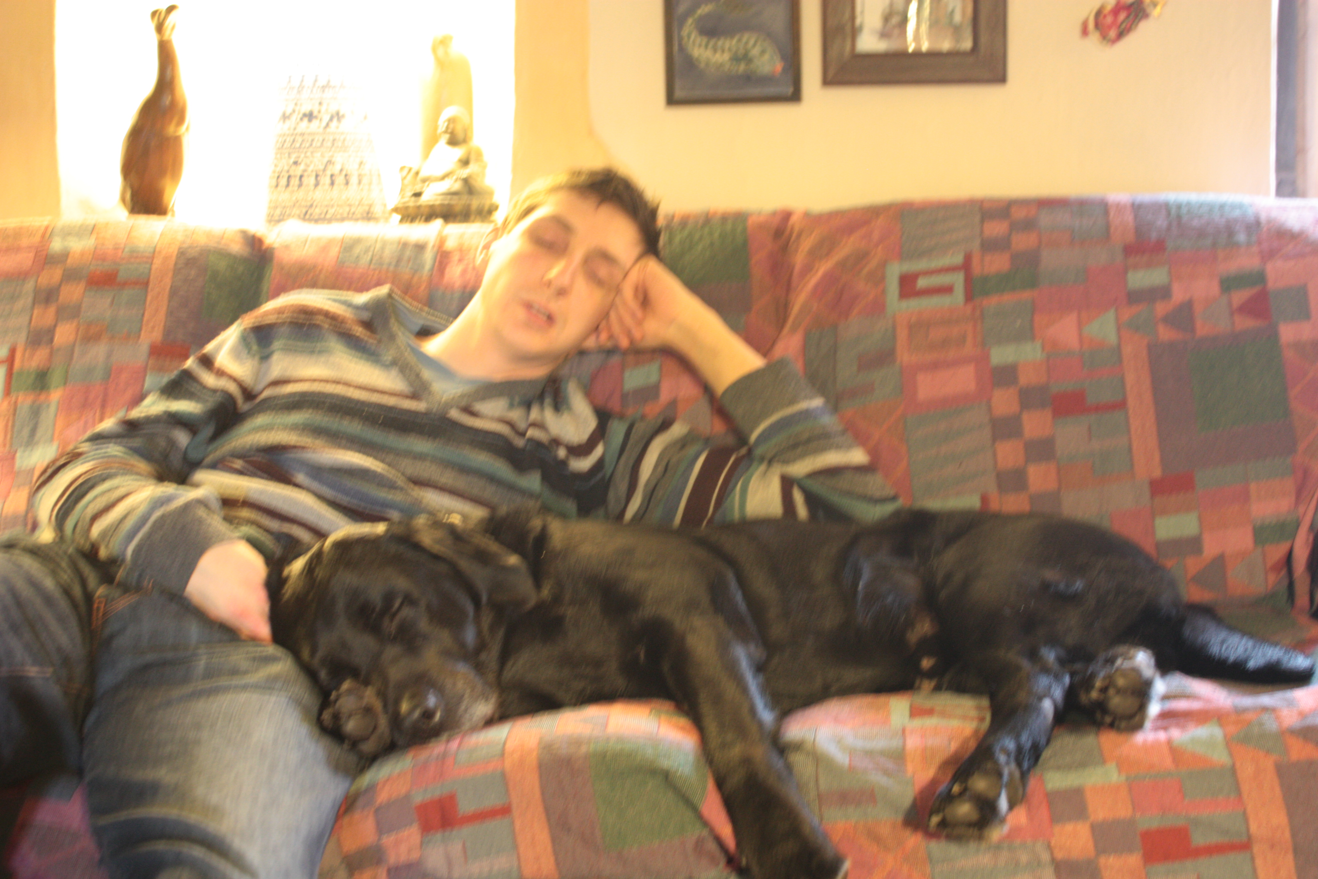image-5
