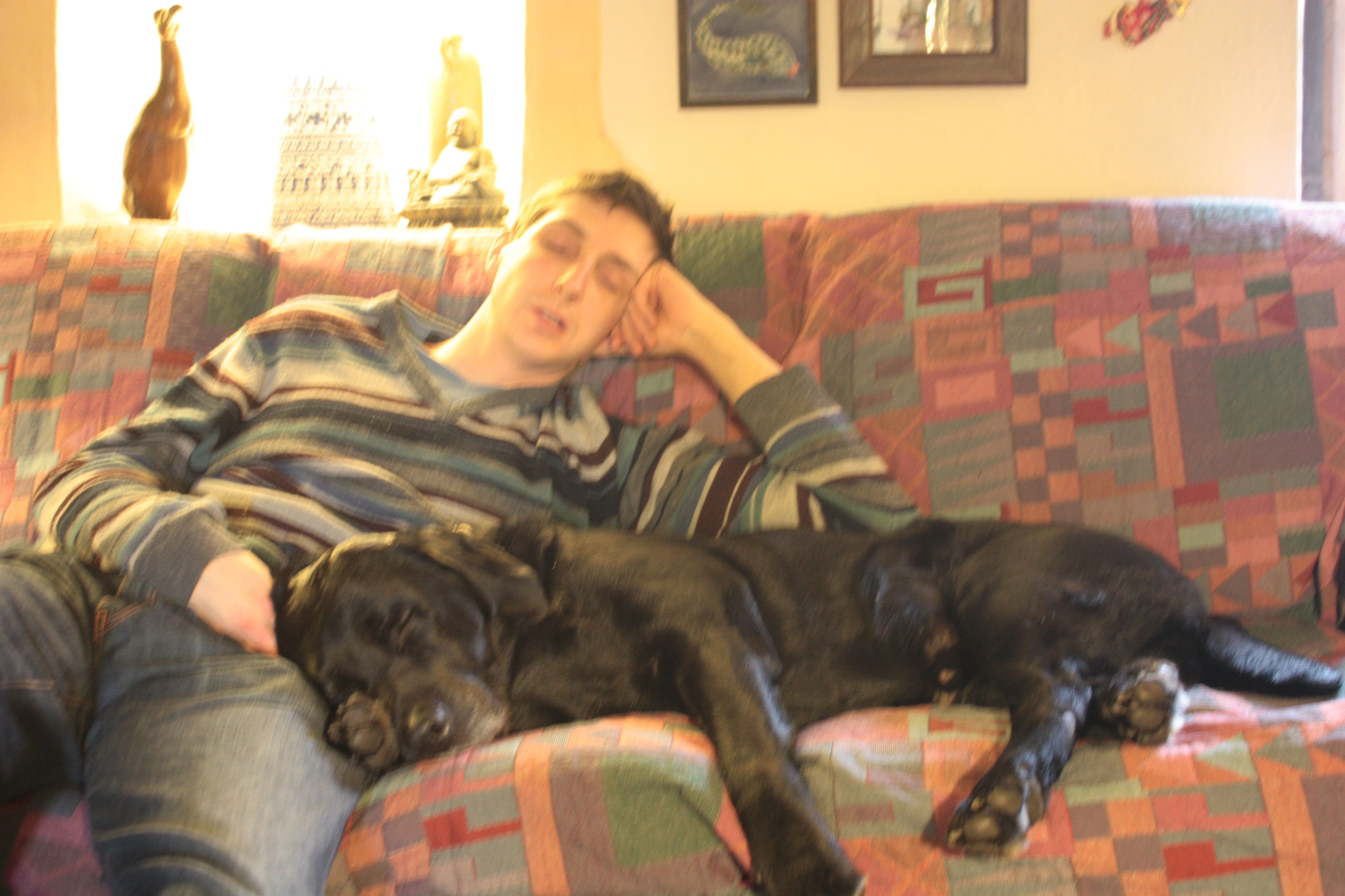 image-5