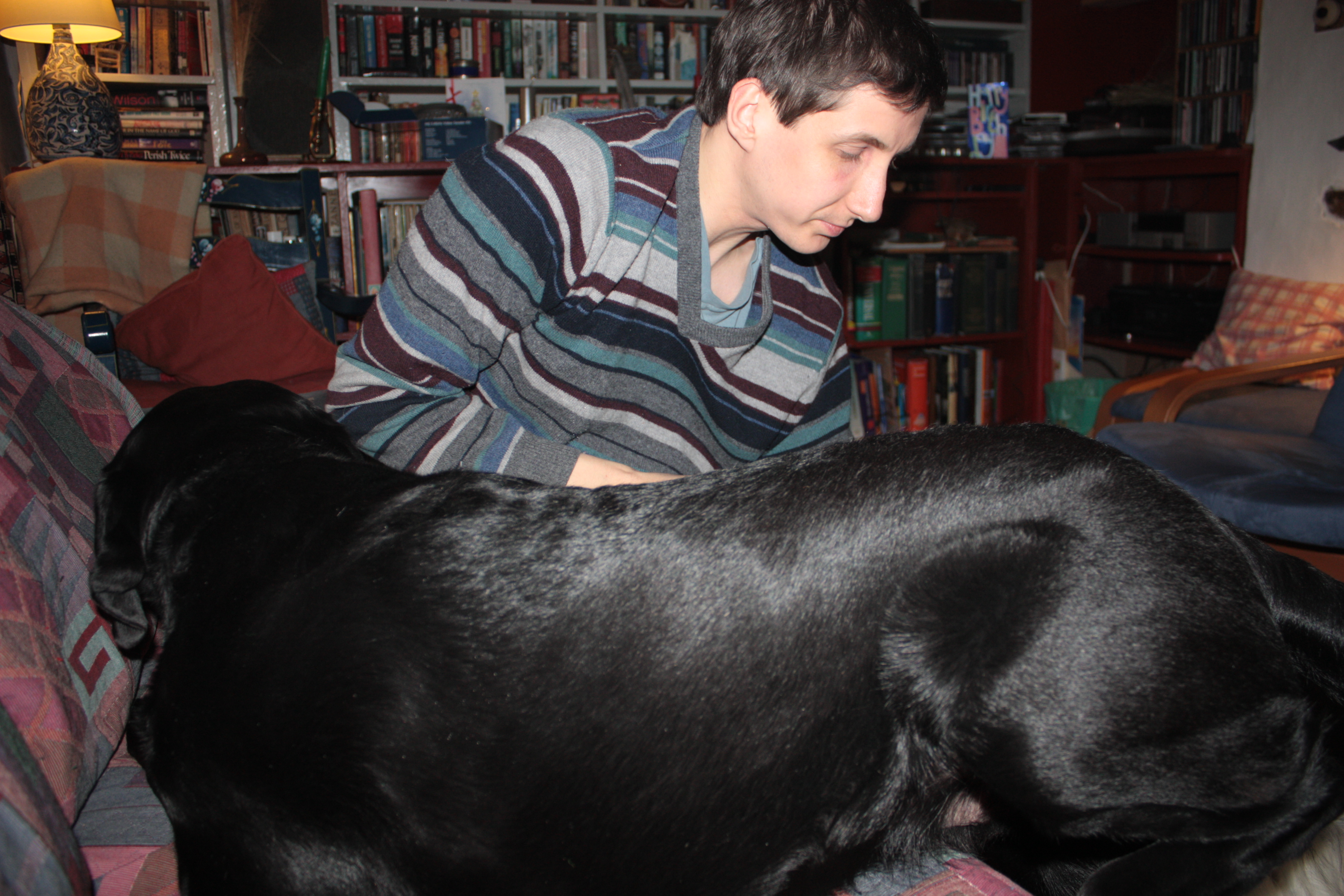 image-7