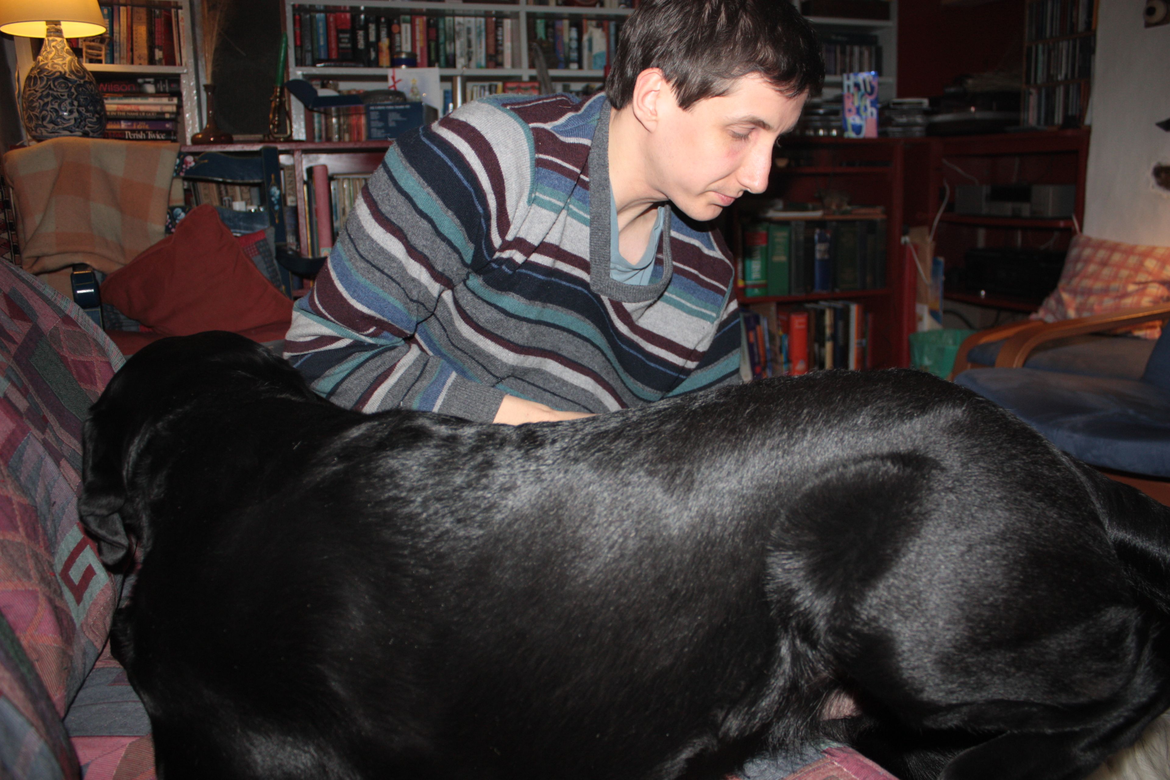 image-7