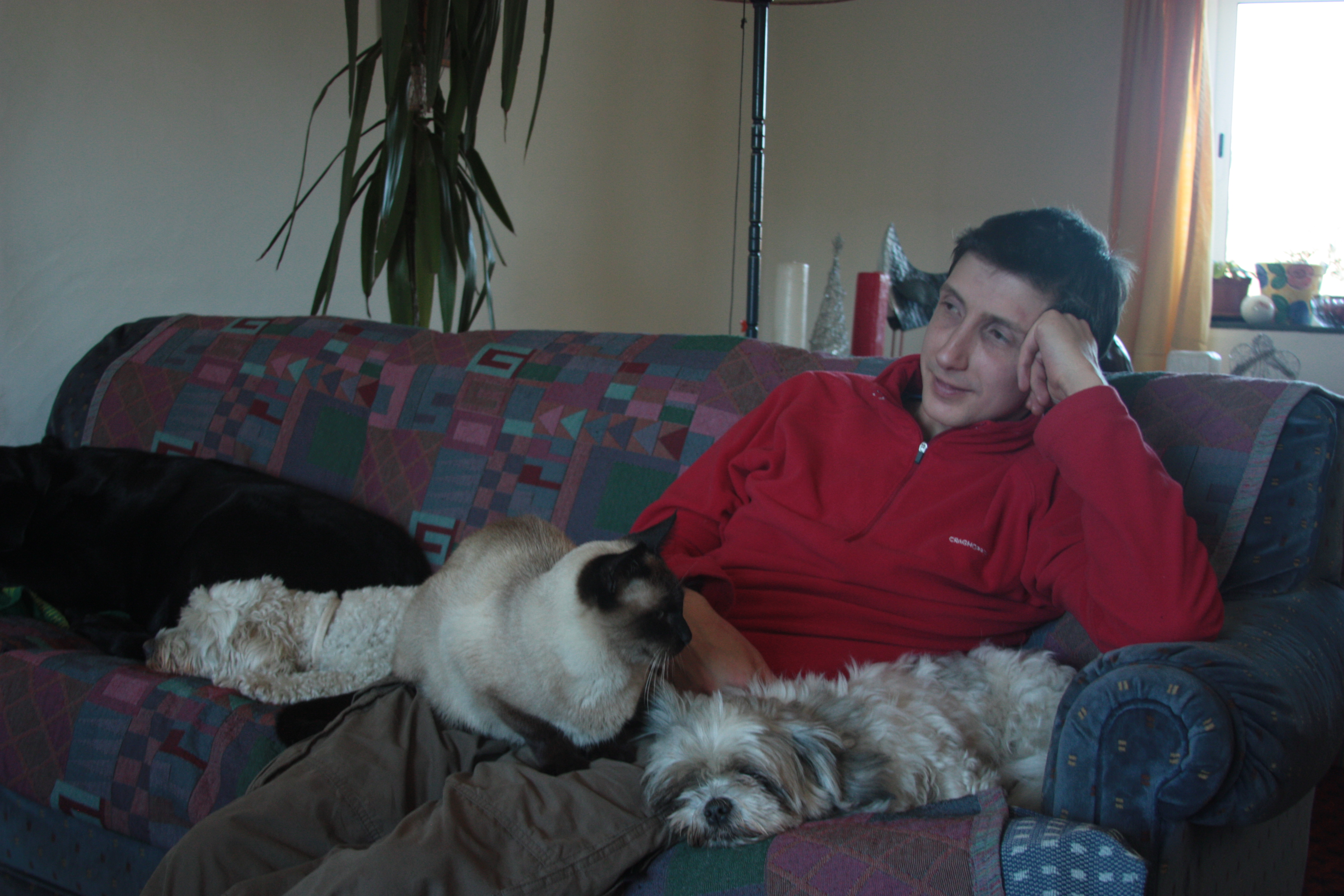 image-6