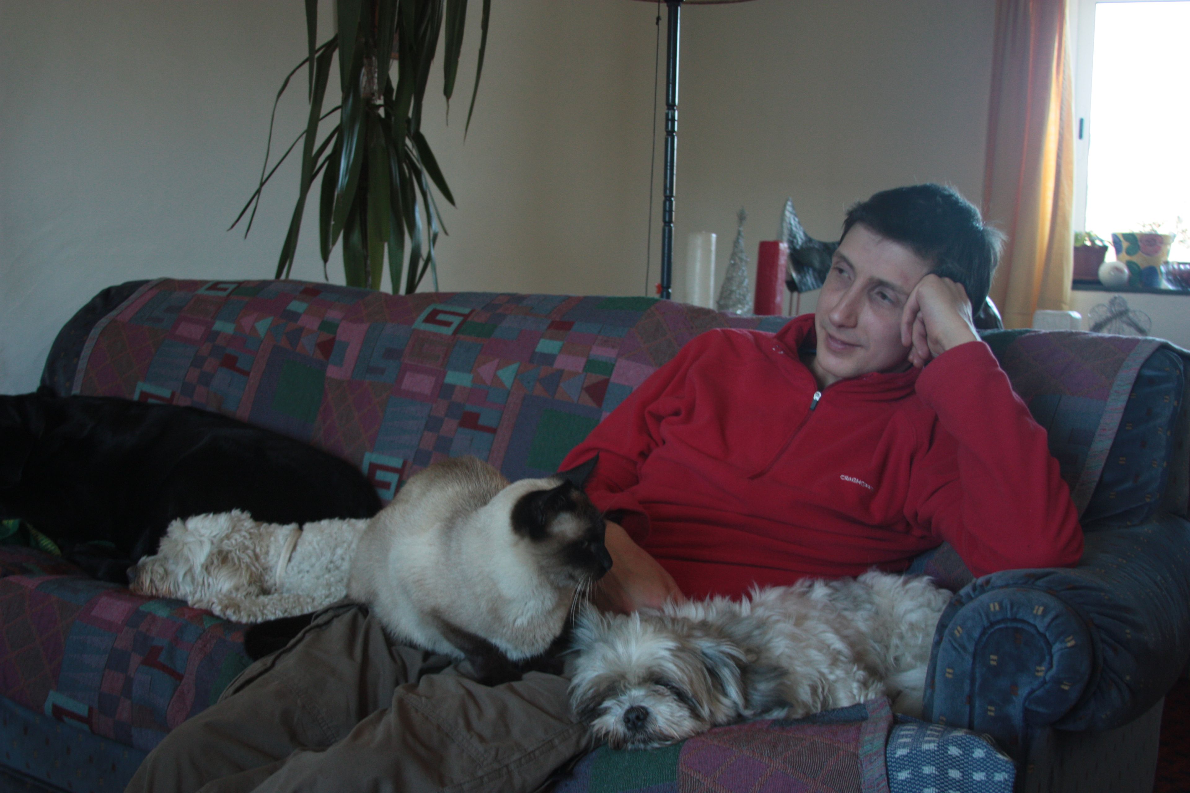image-6