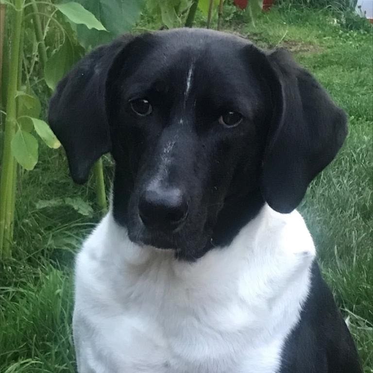 Eddie