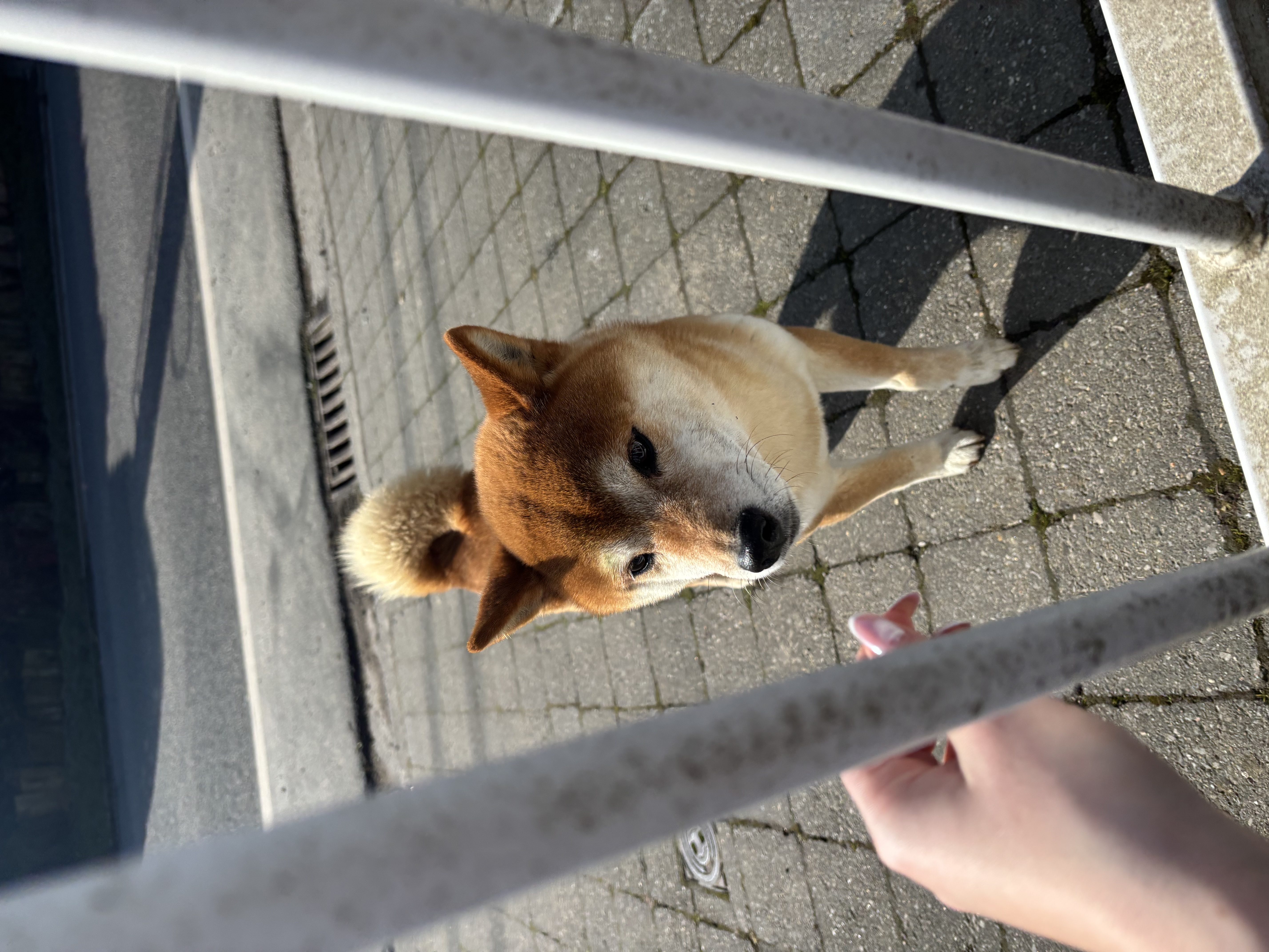 image-9