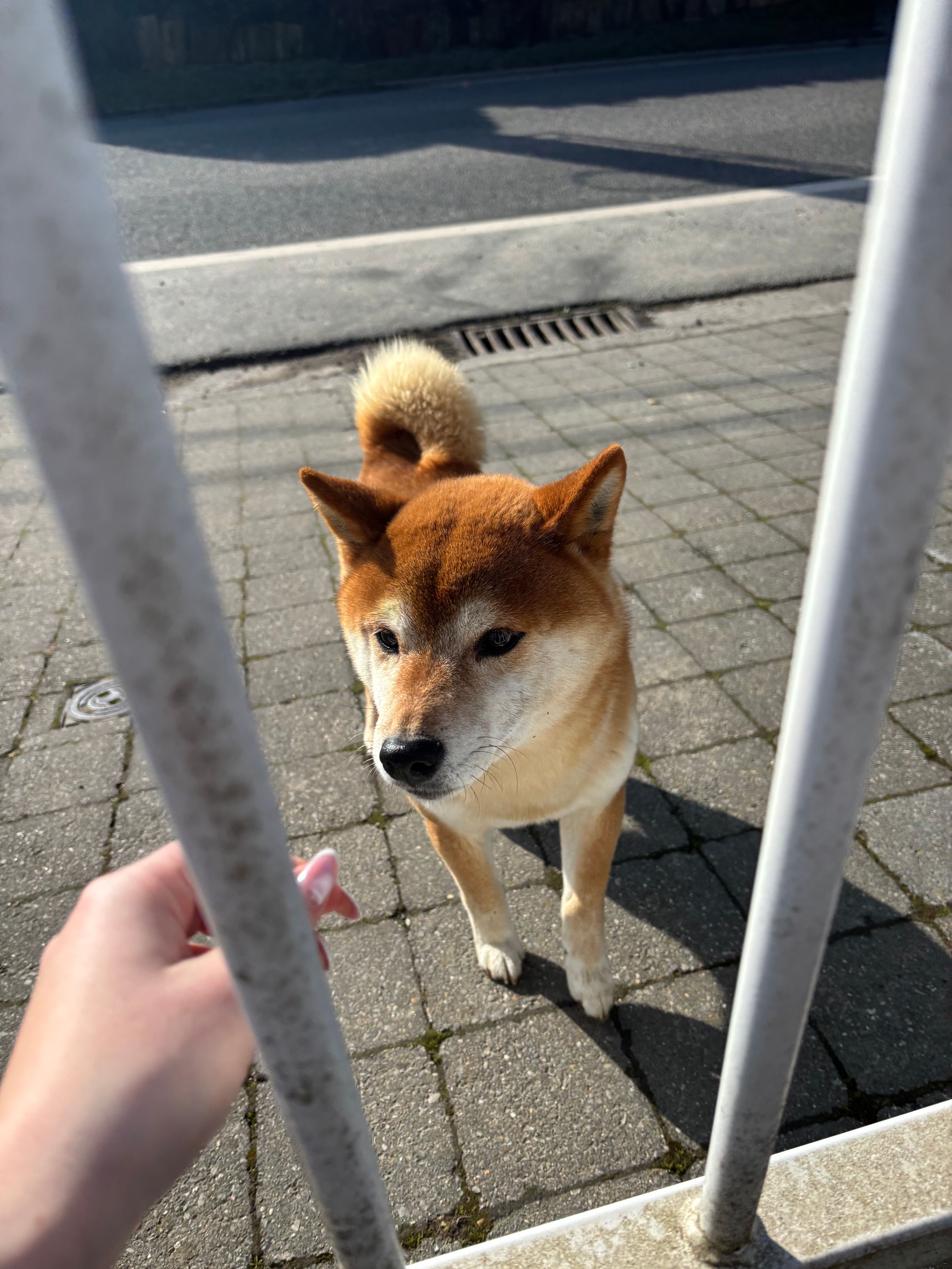 image-9