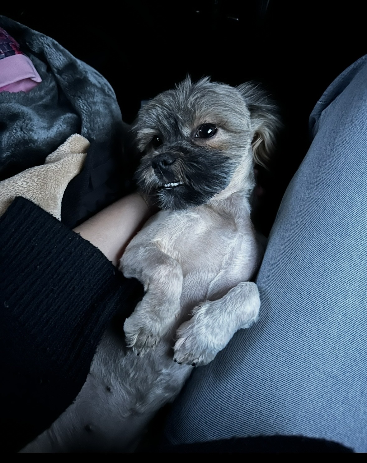 image-7
