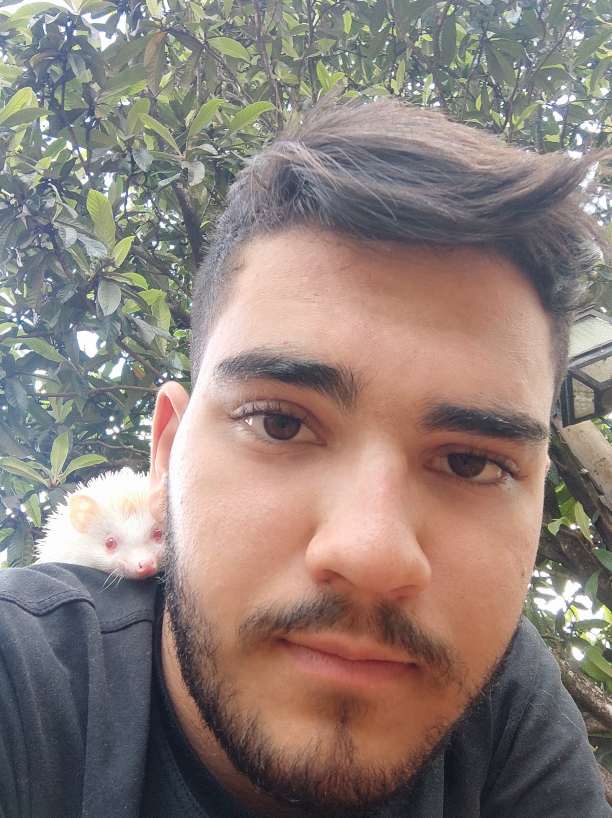 image-8