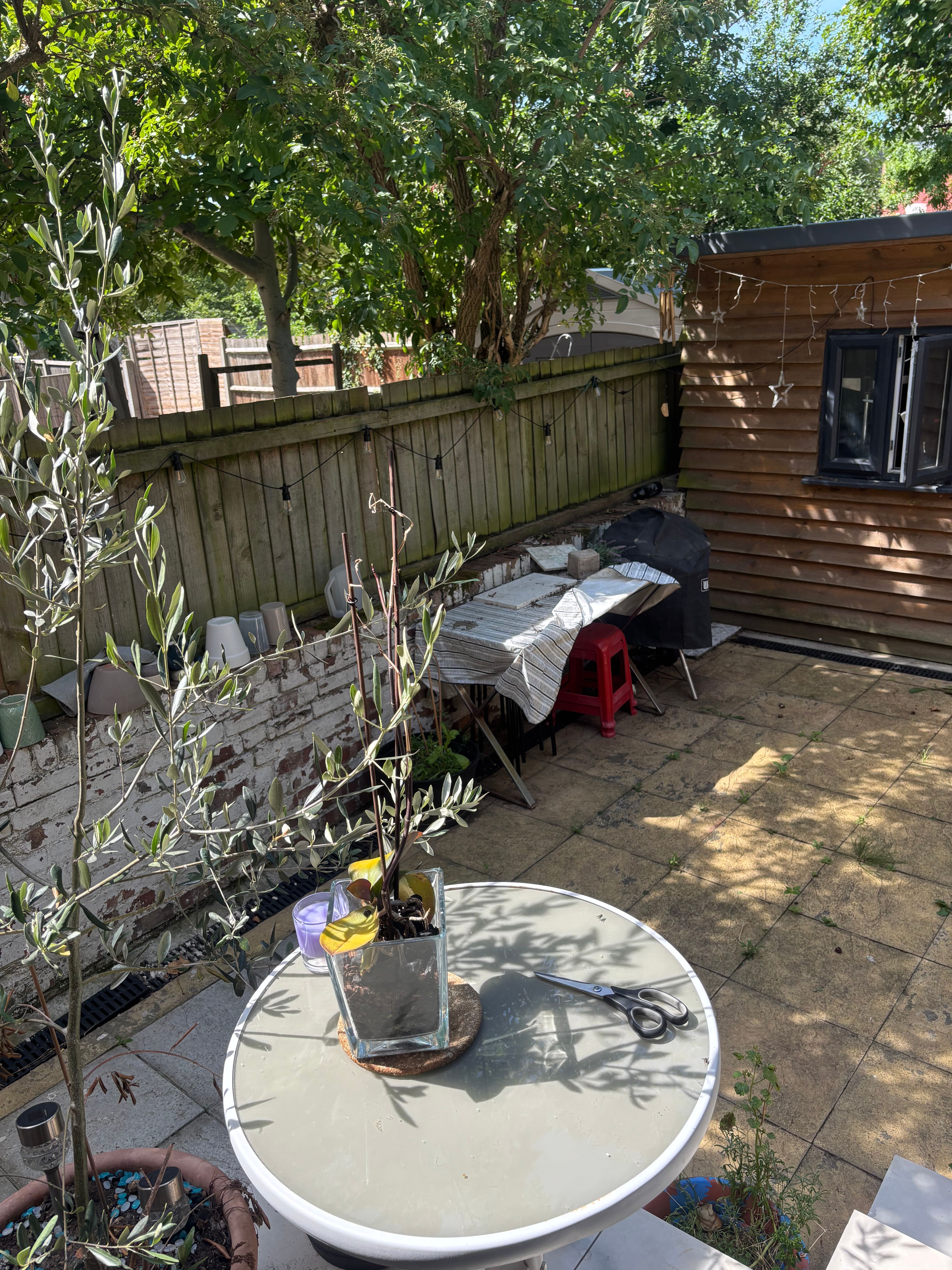 image-14