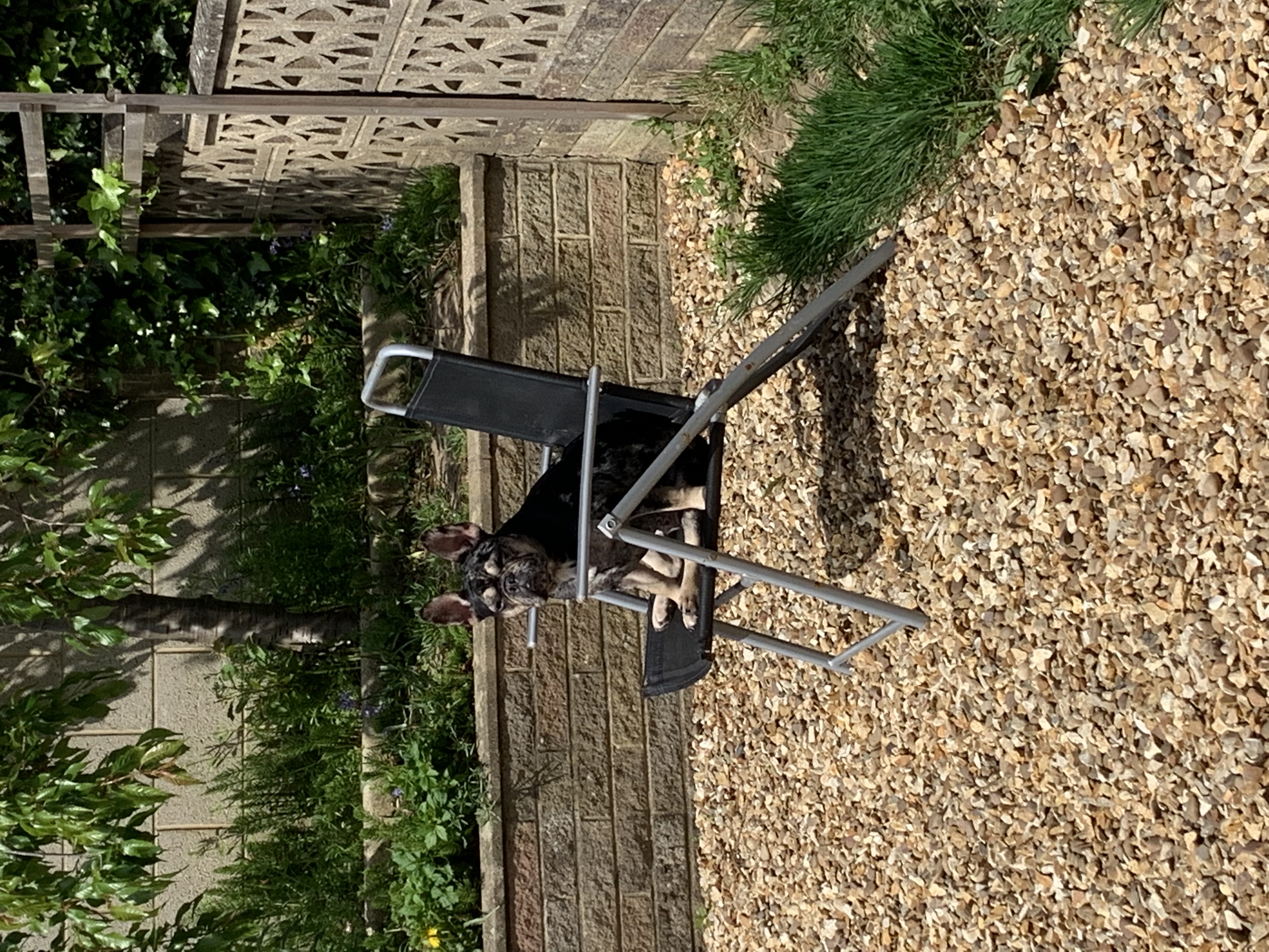 image-3