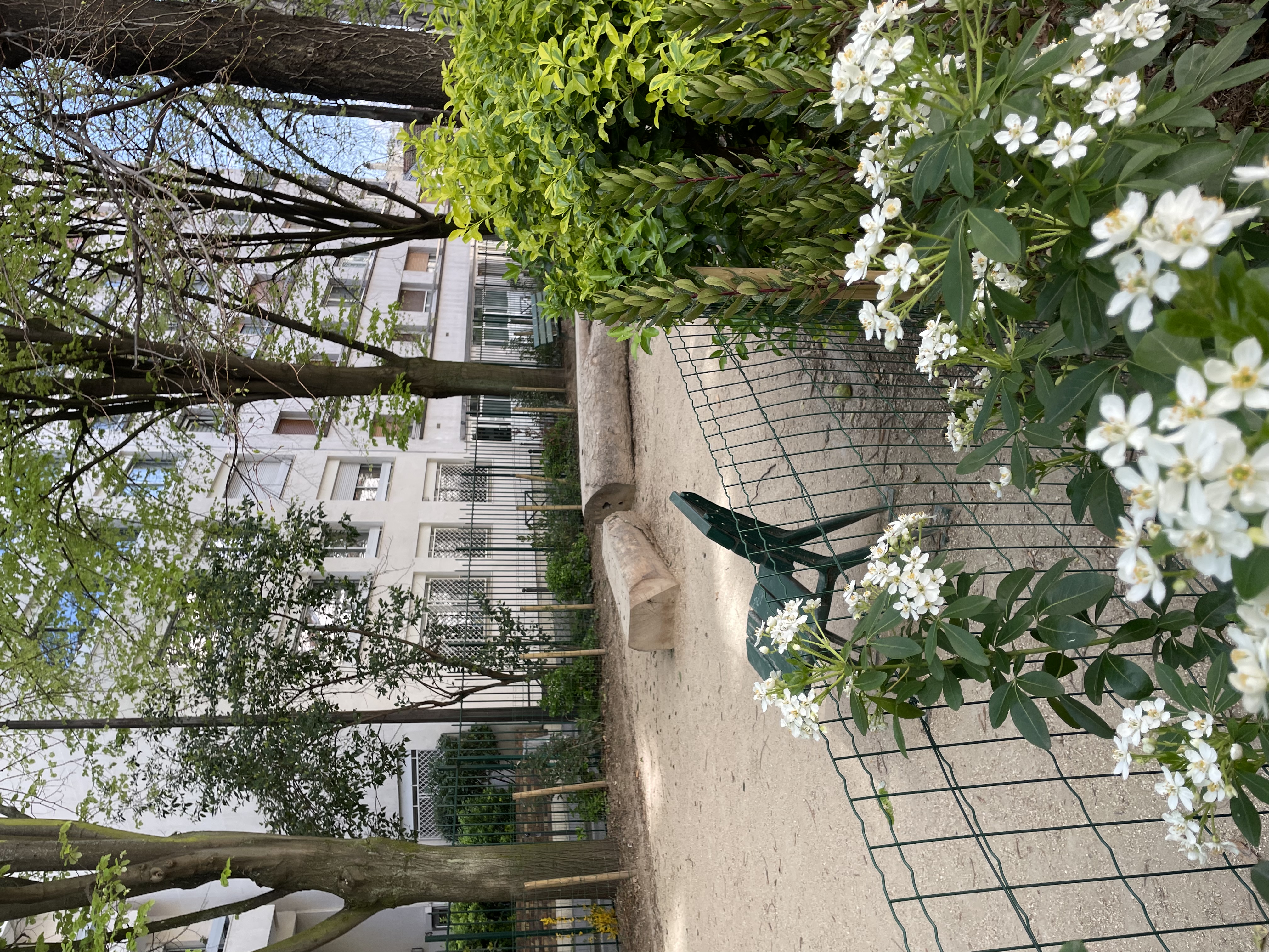 image-19