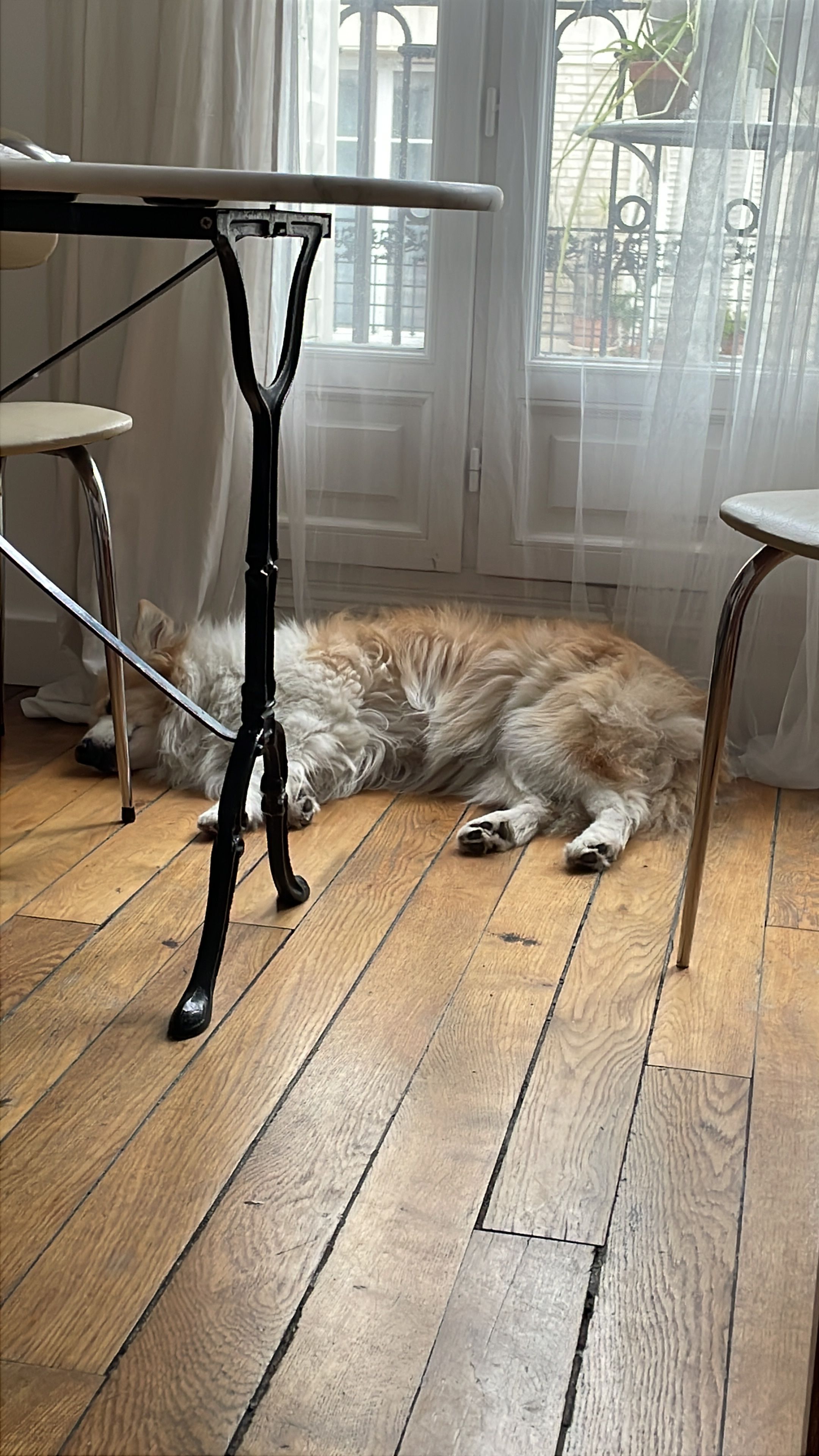 image-24