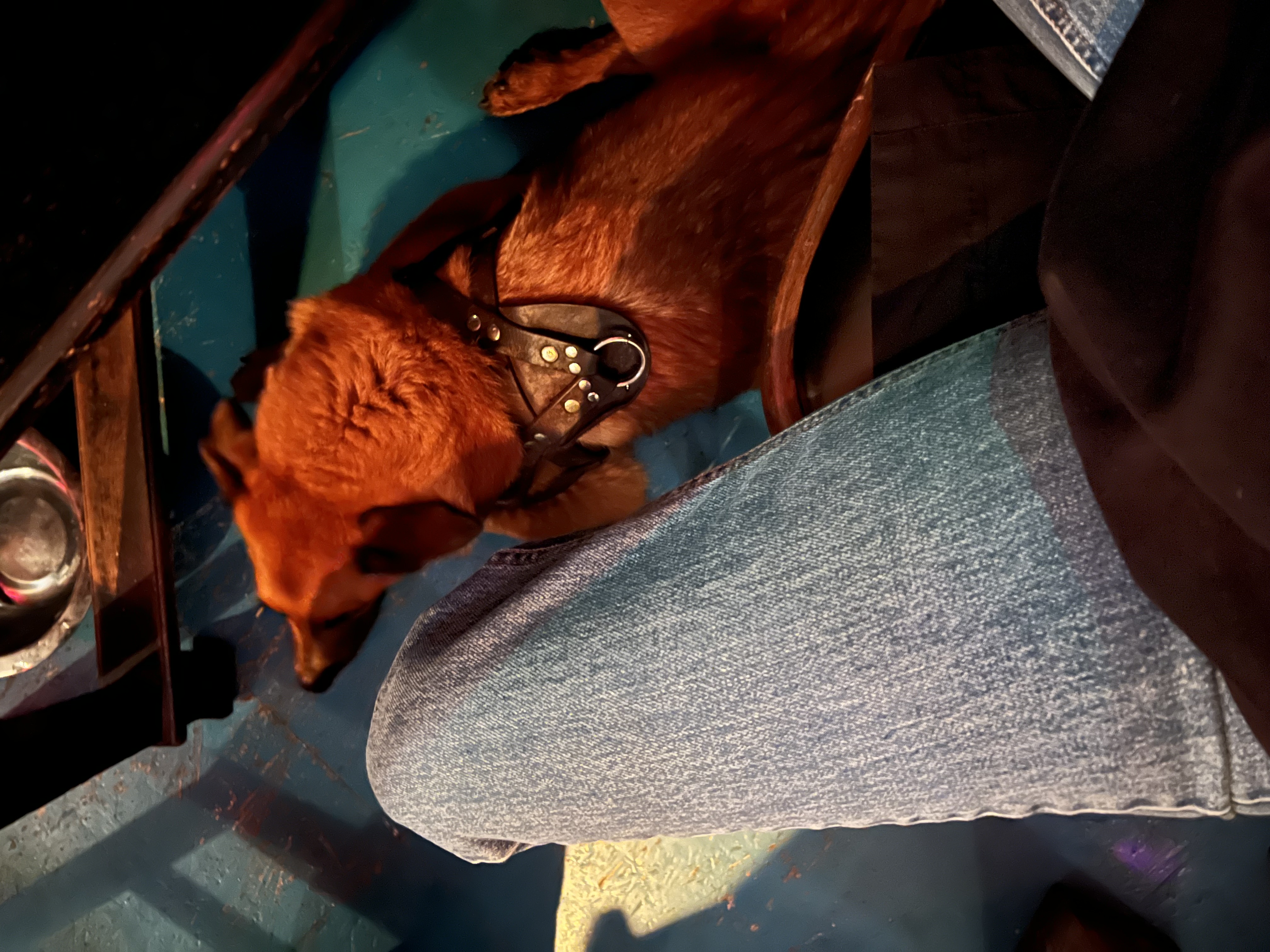 image-7