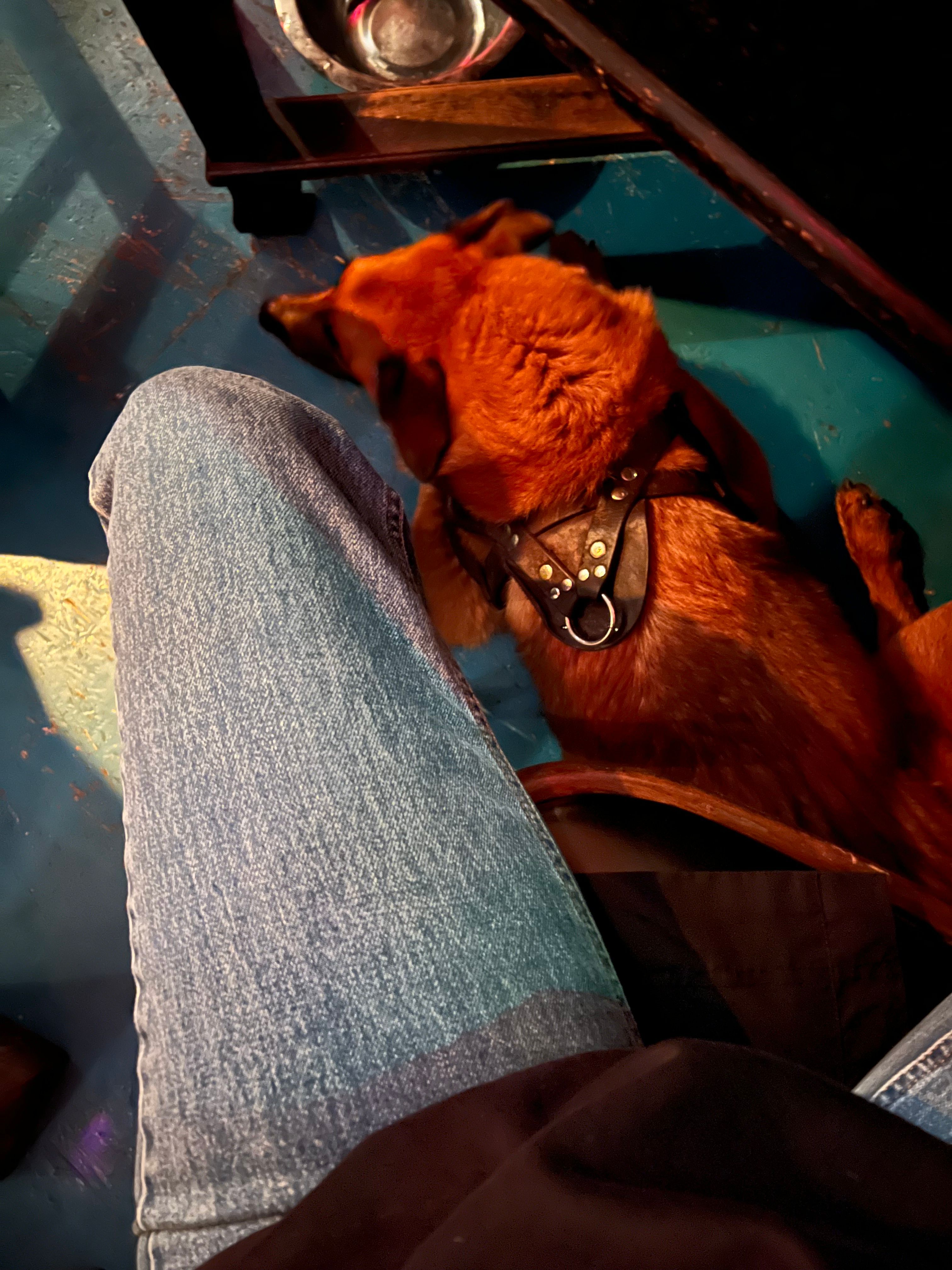 image-7