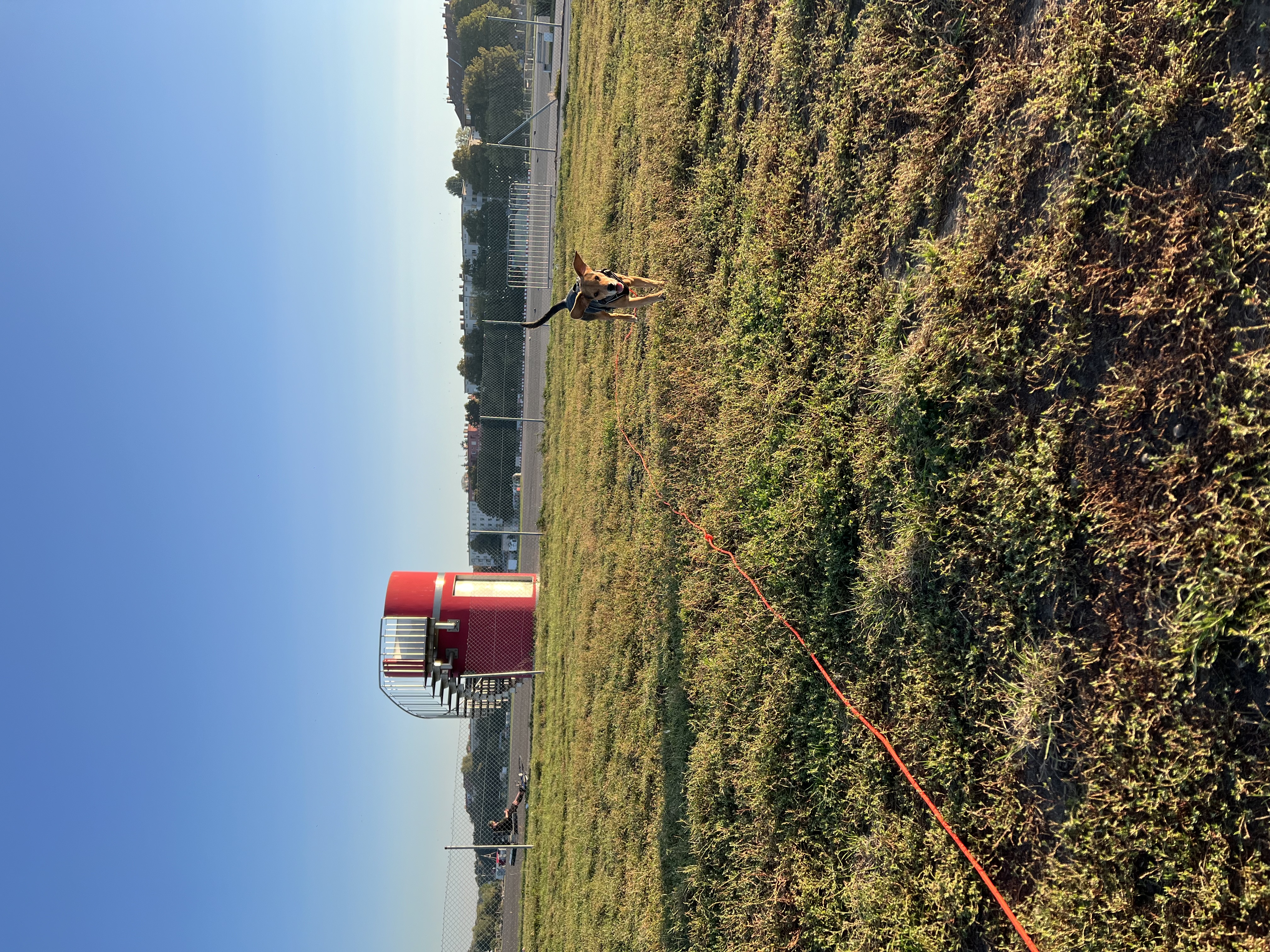 image-16