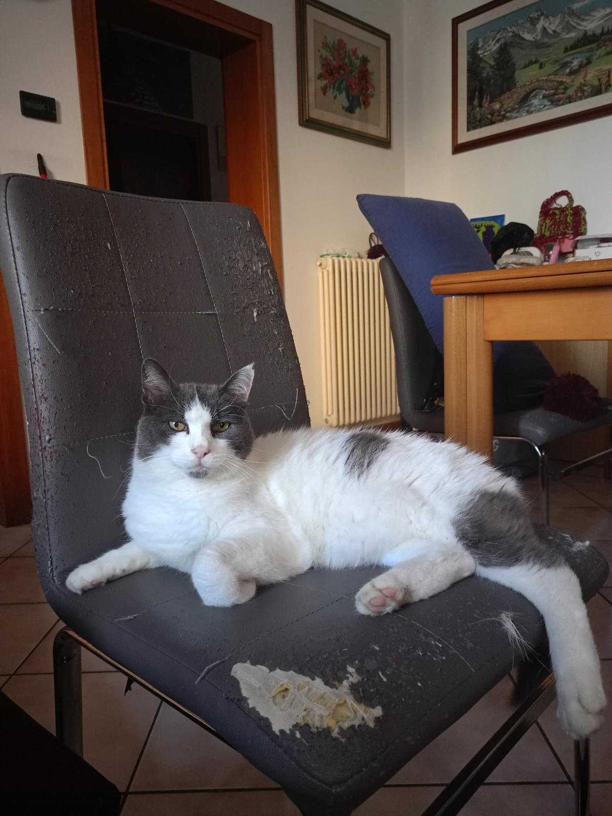 image-14
