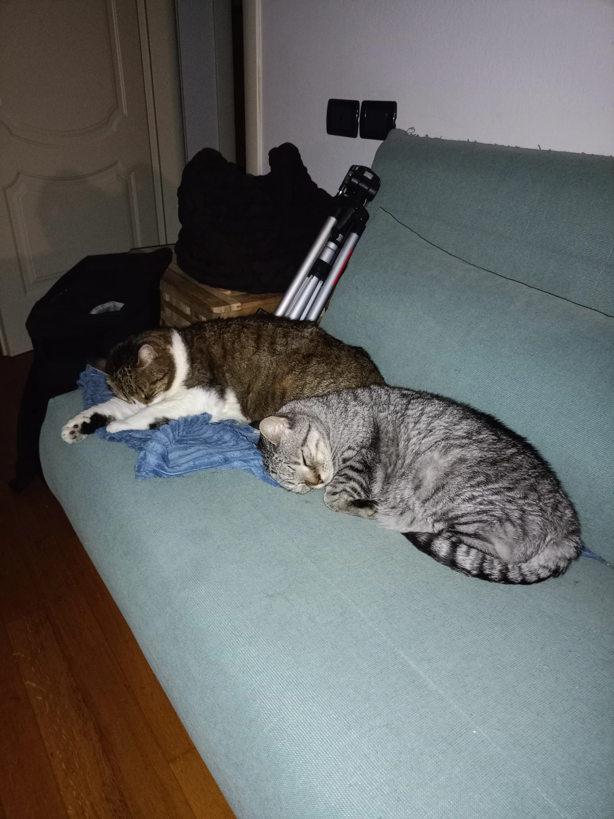 image-20