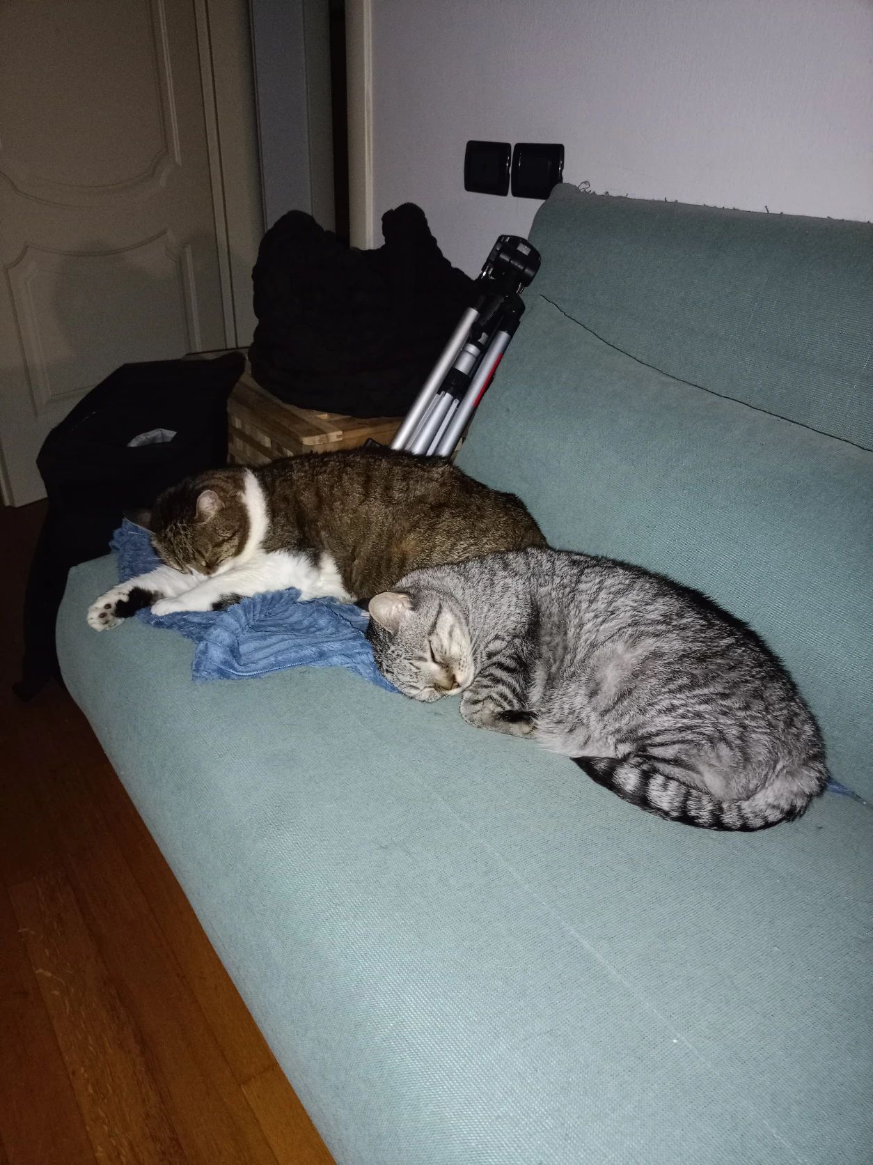 image-20