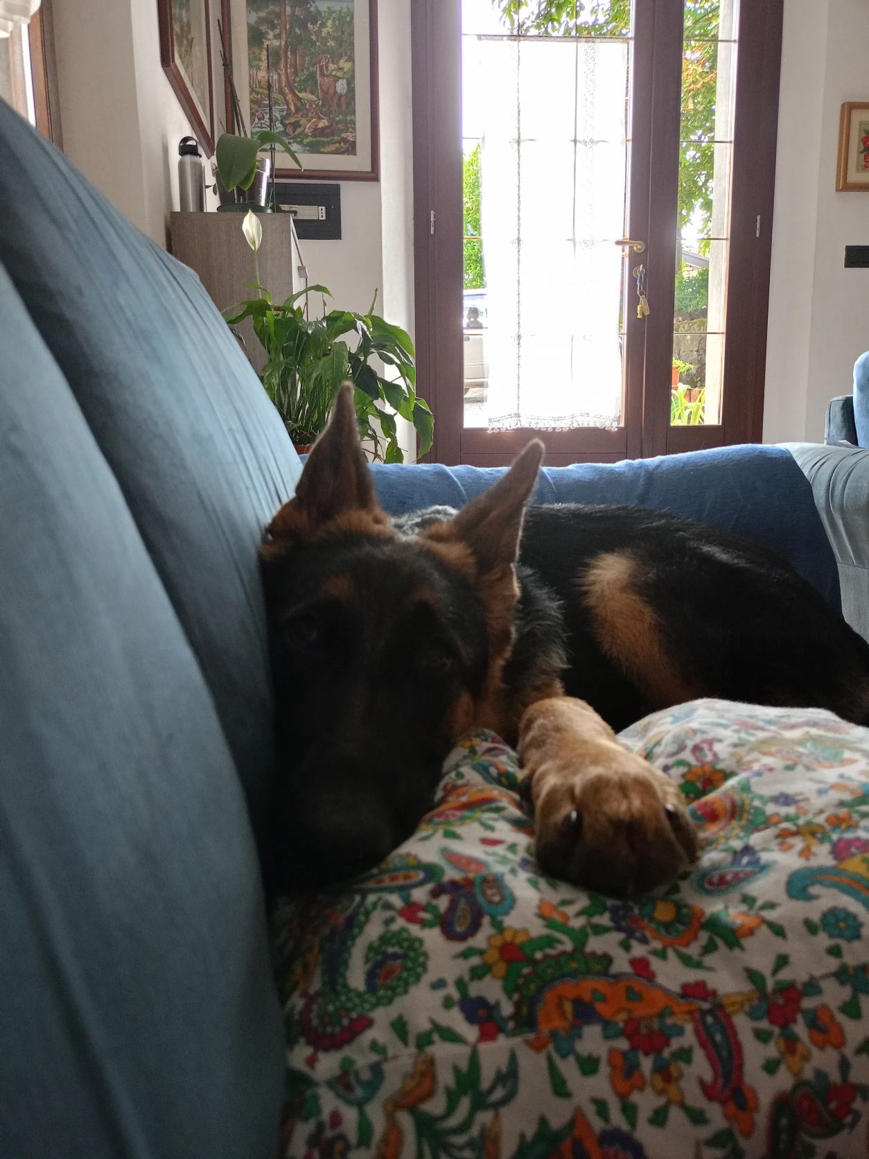 image-16