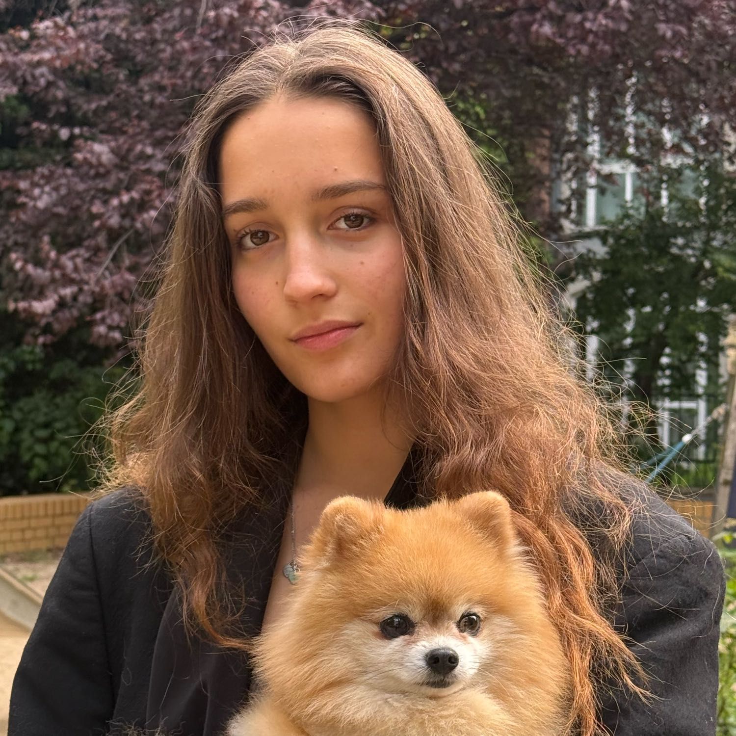 Alina