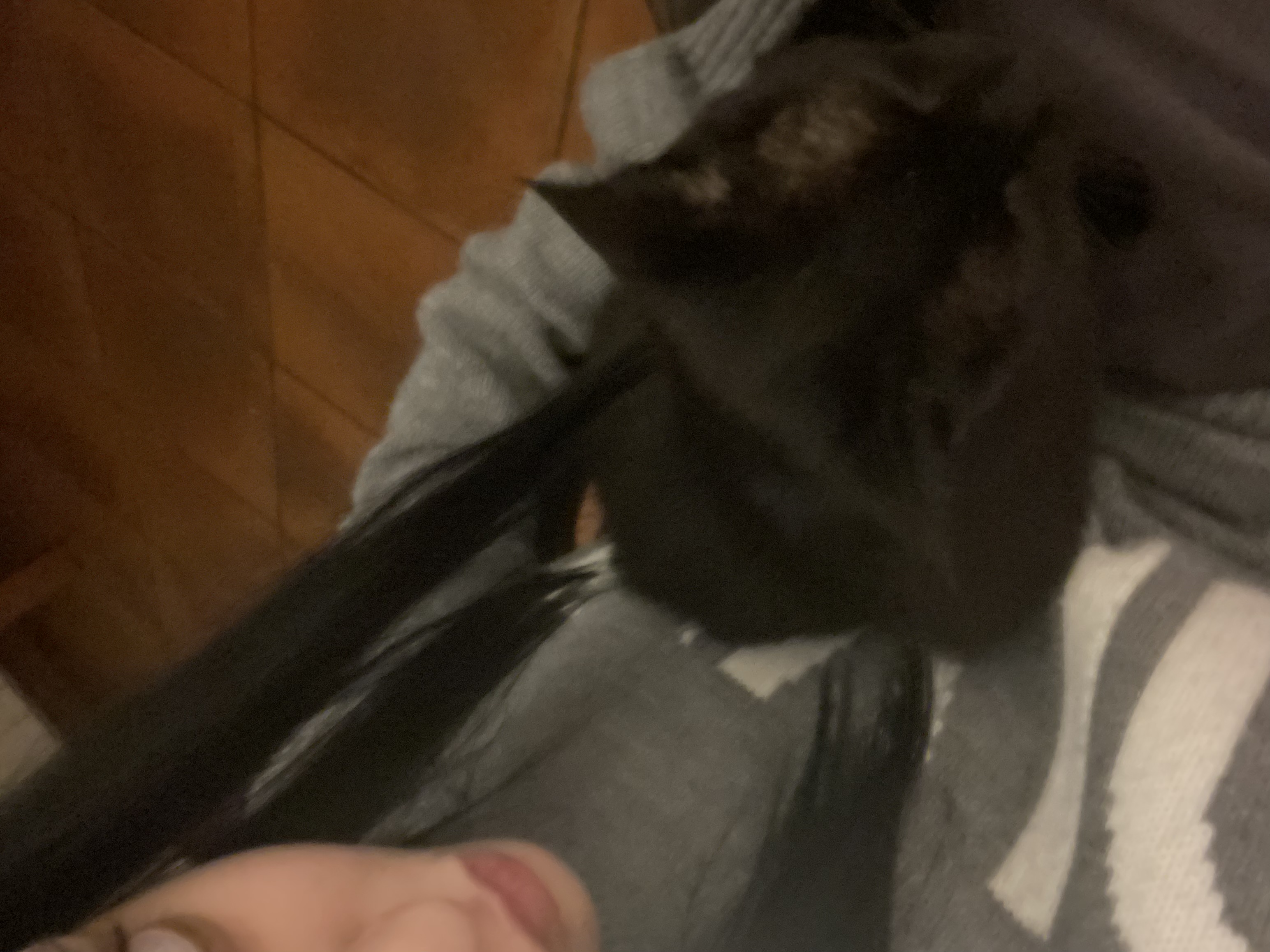 image-5