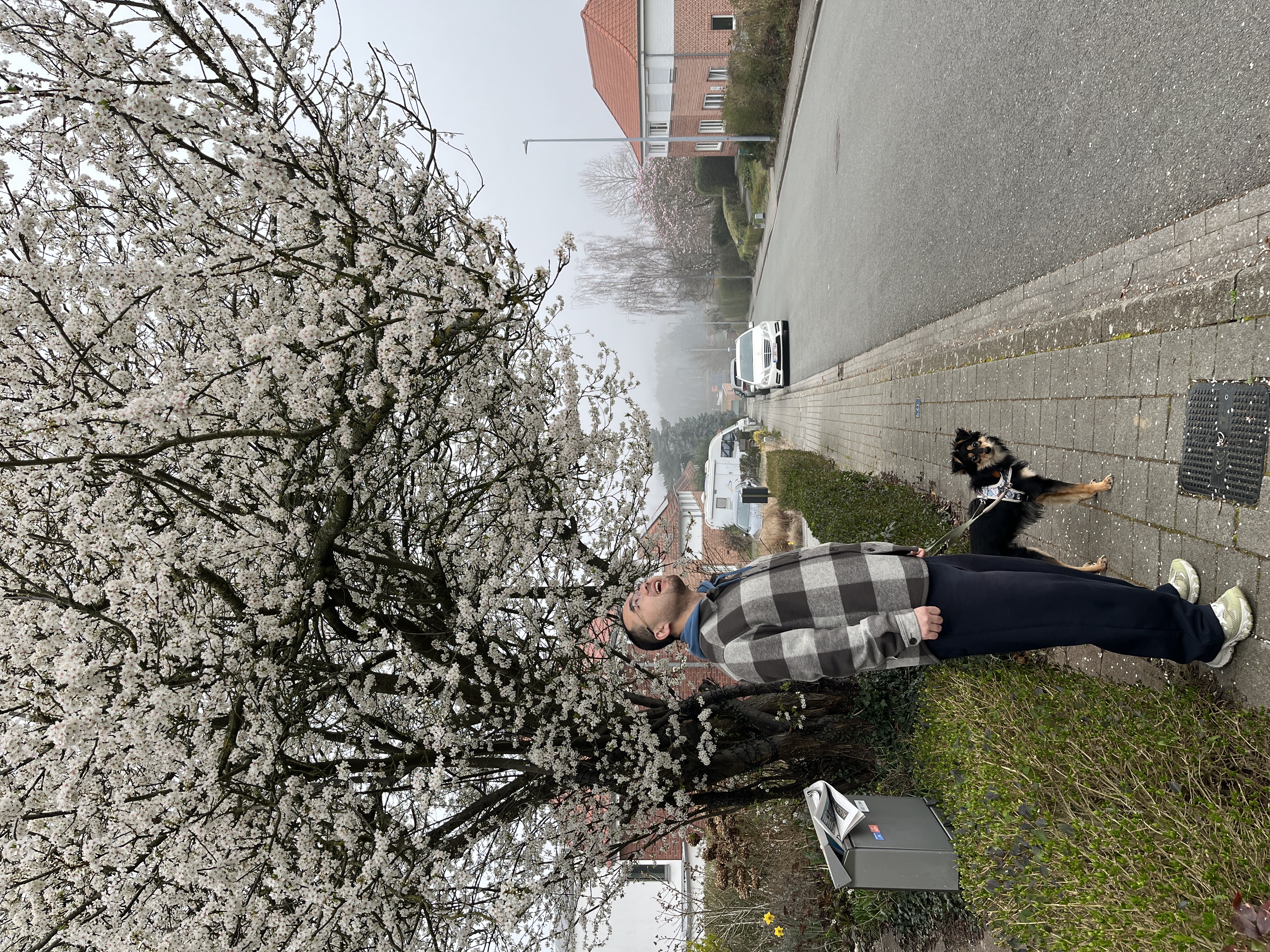 image-24