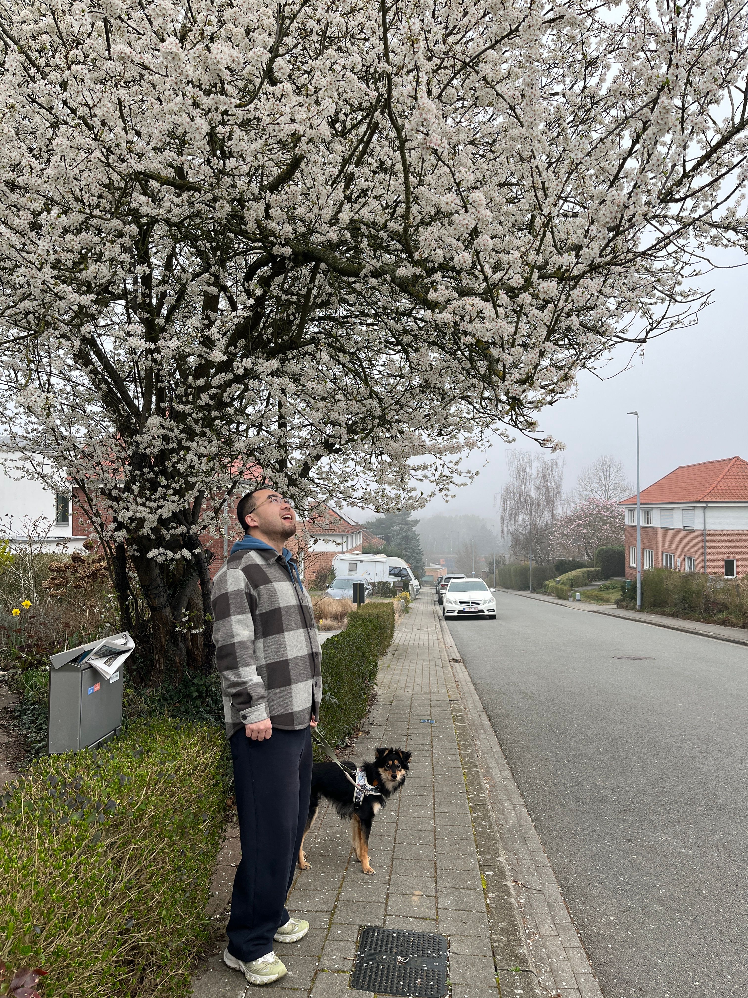 image-24