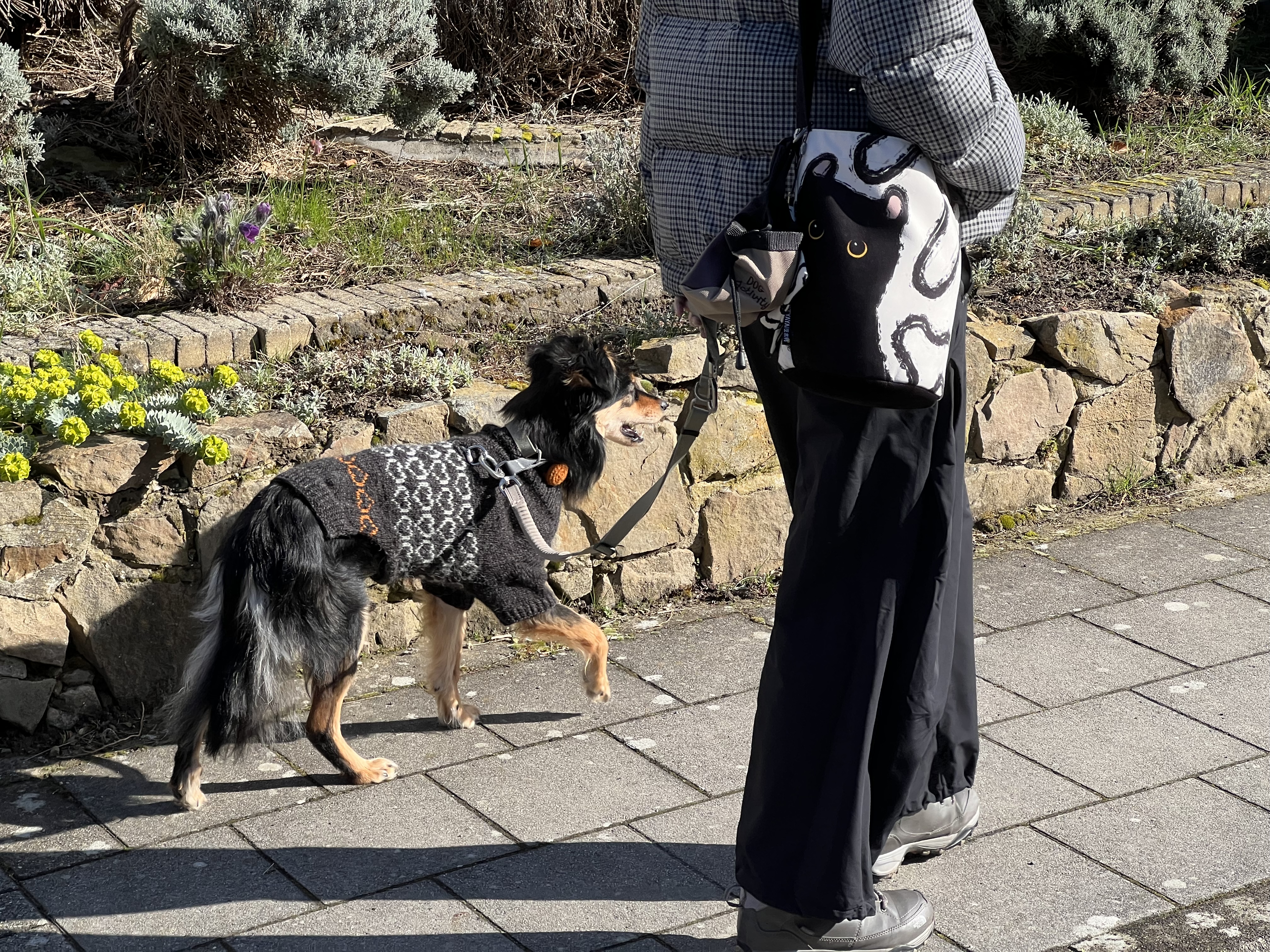 image-16