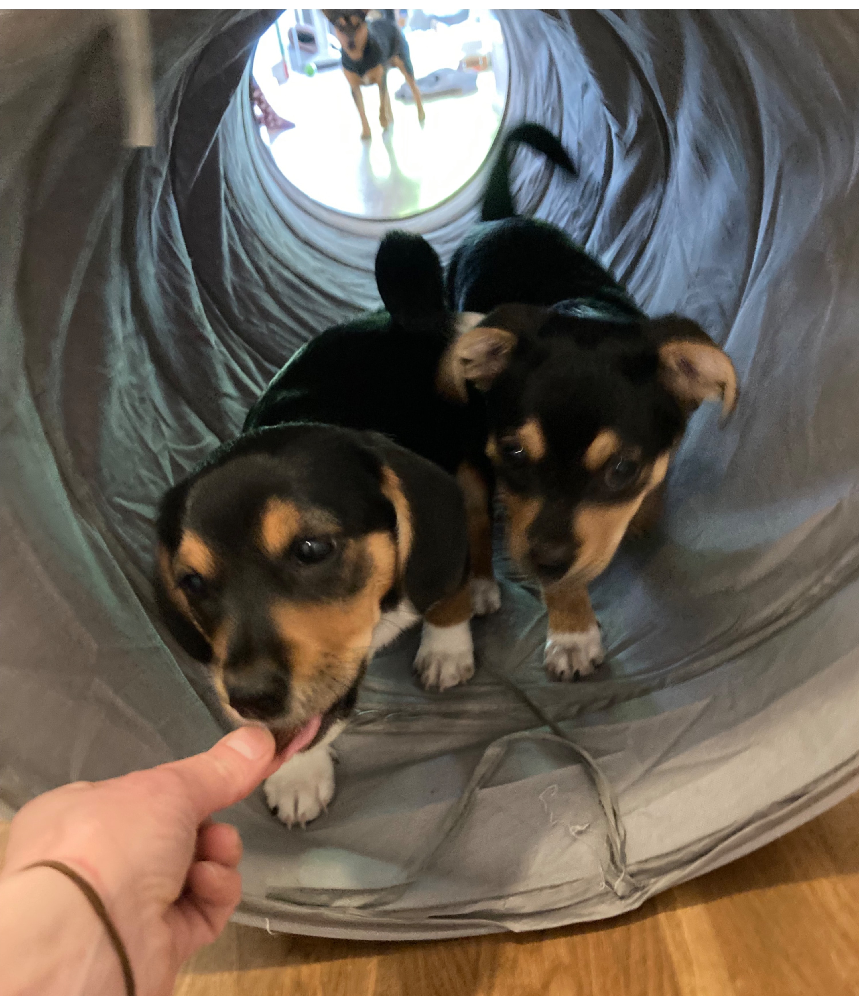 image-1