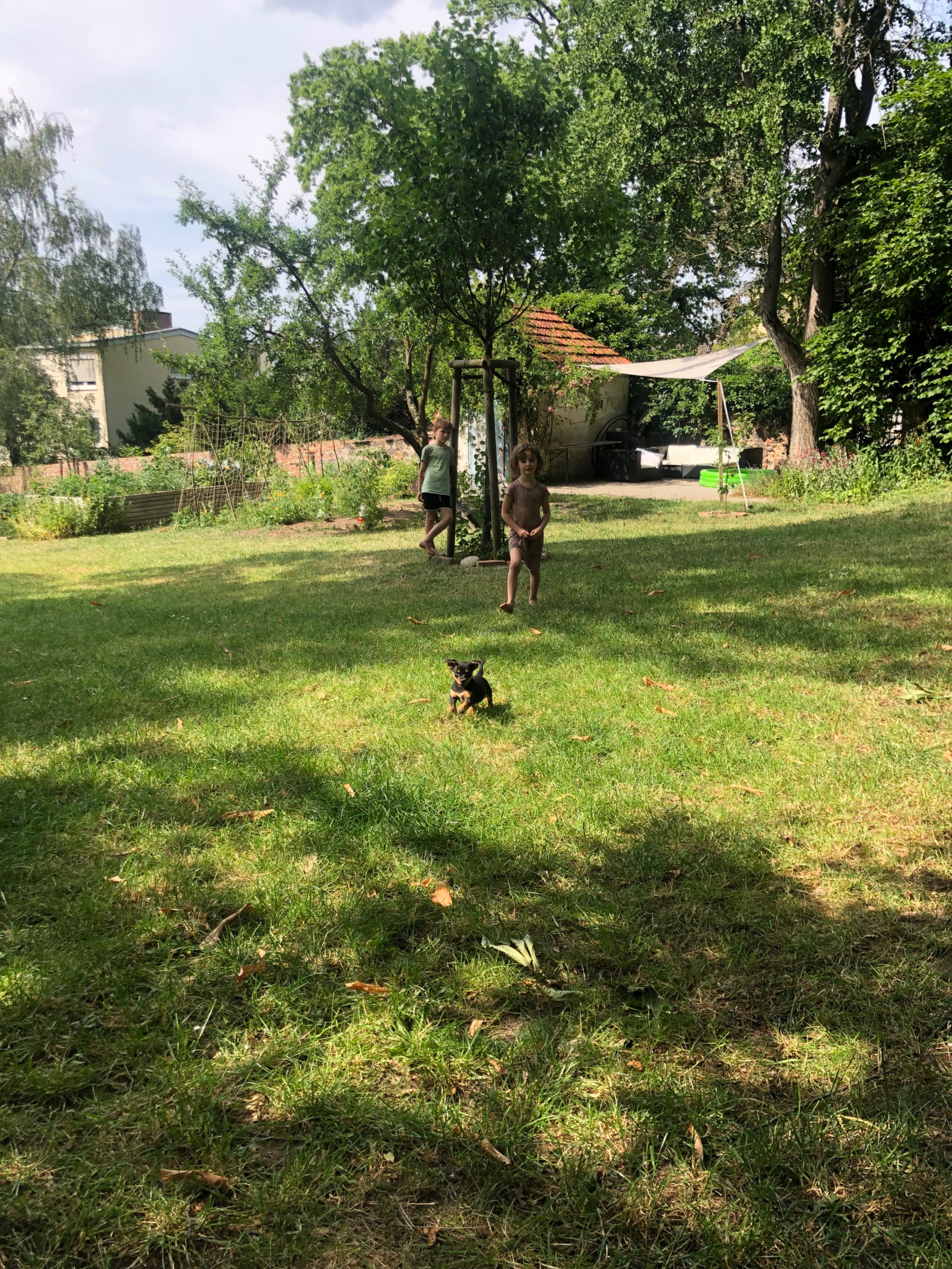 image-16