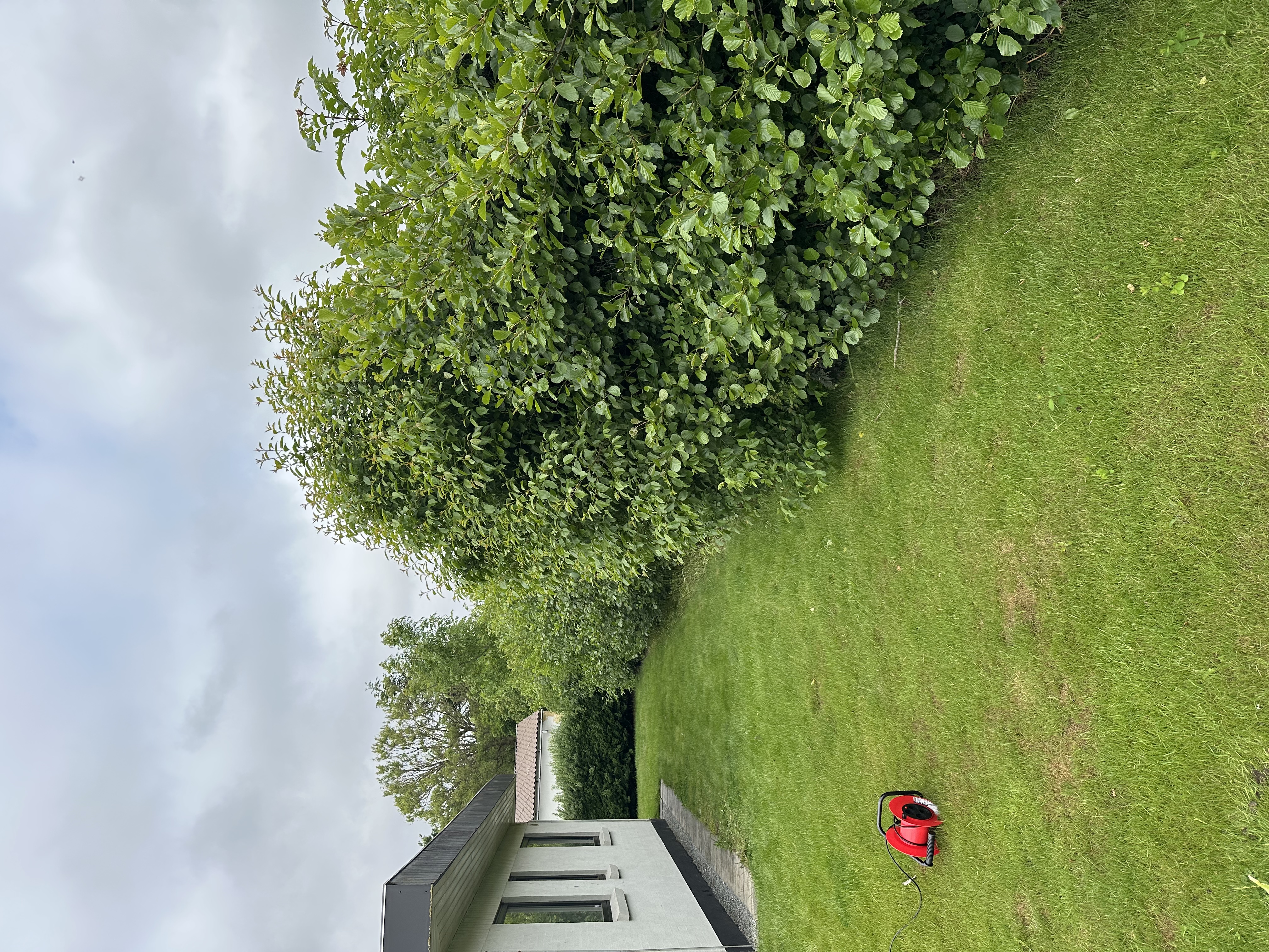 image-14