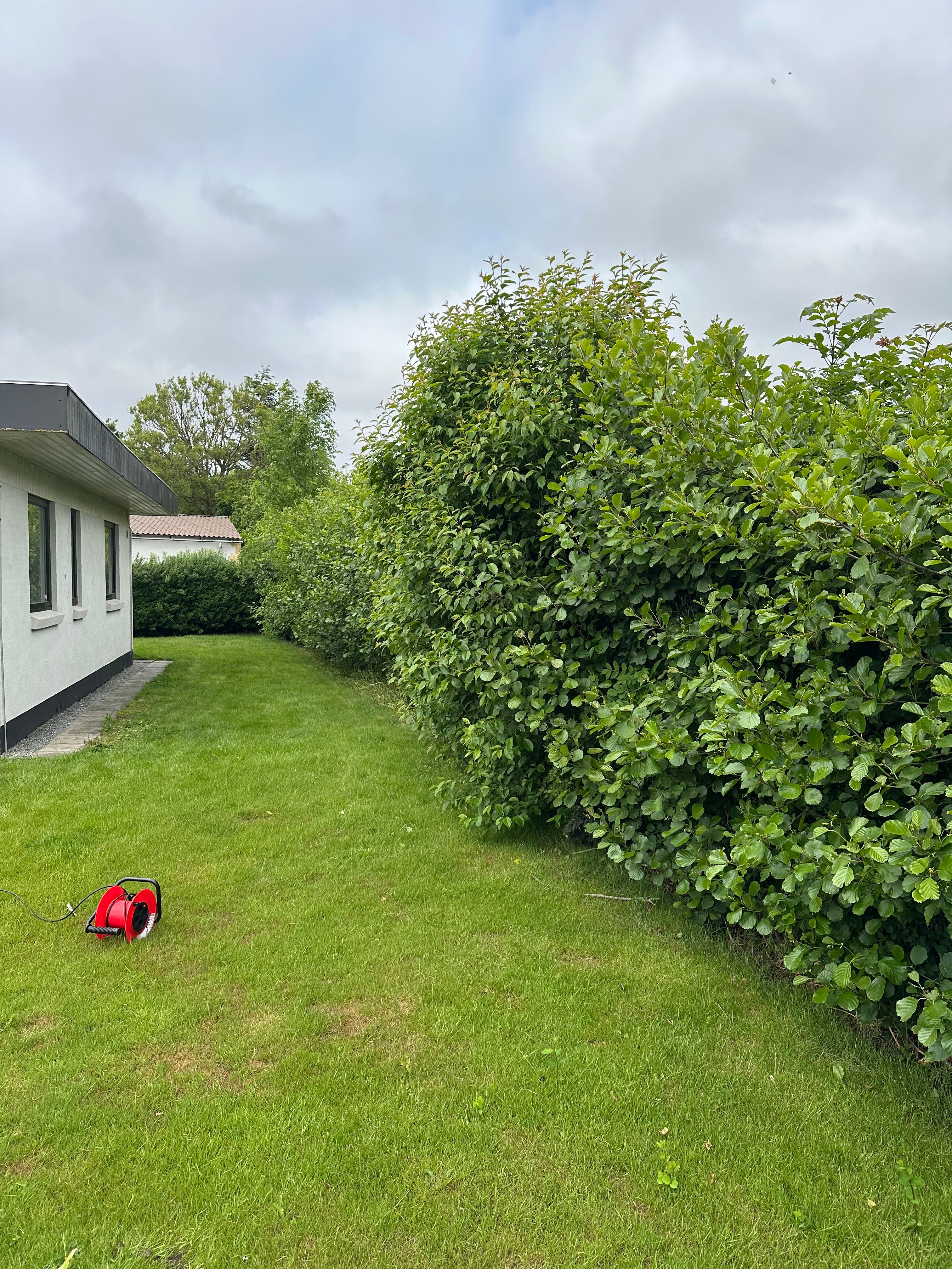 image-14