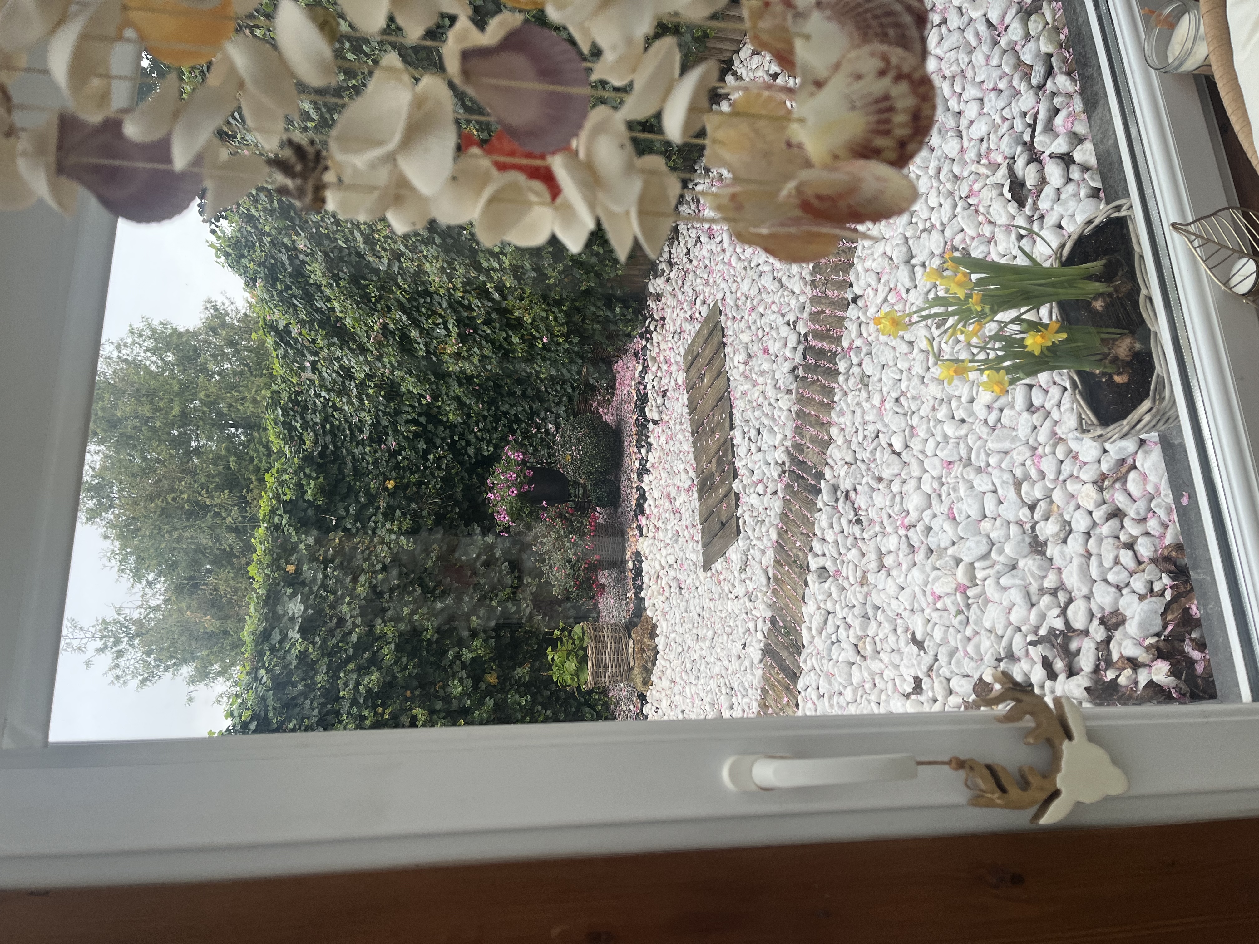 image-14