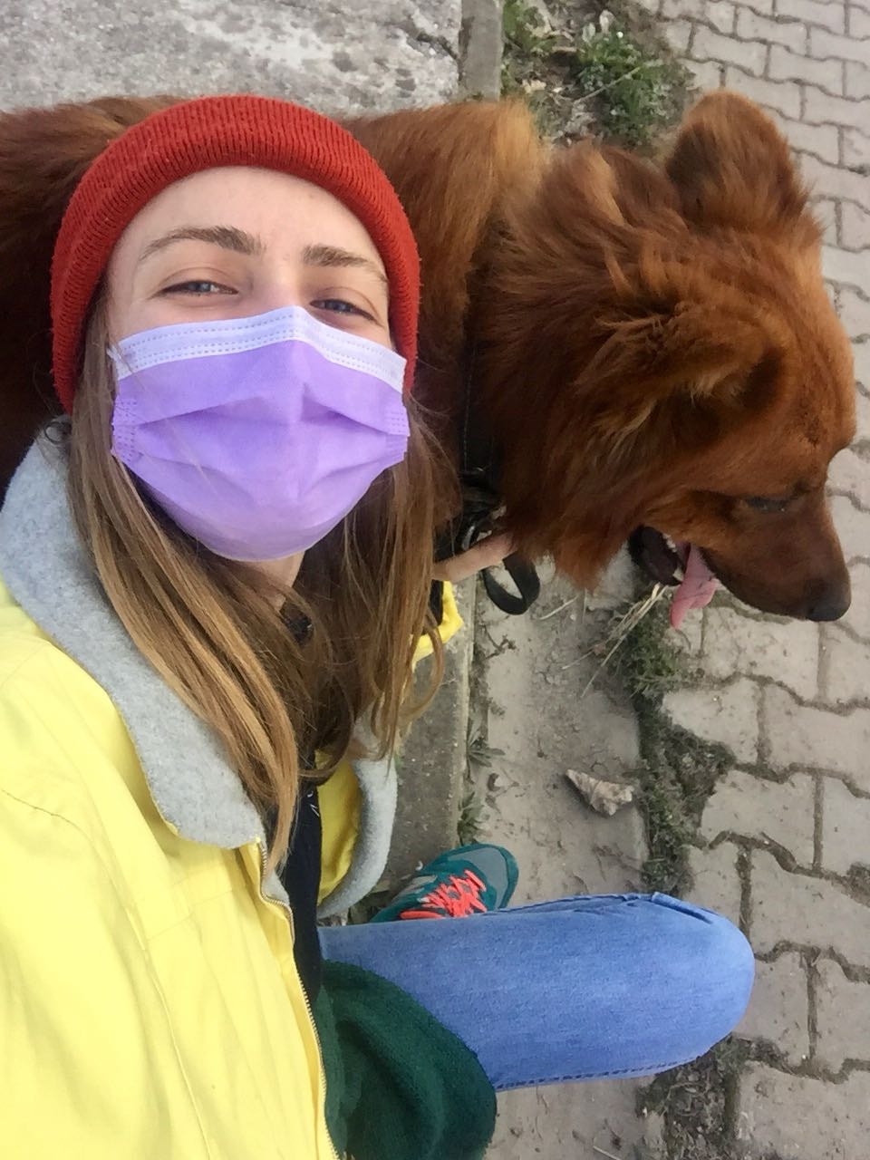 image-11