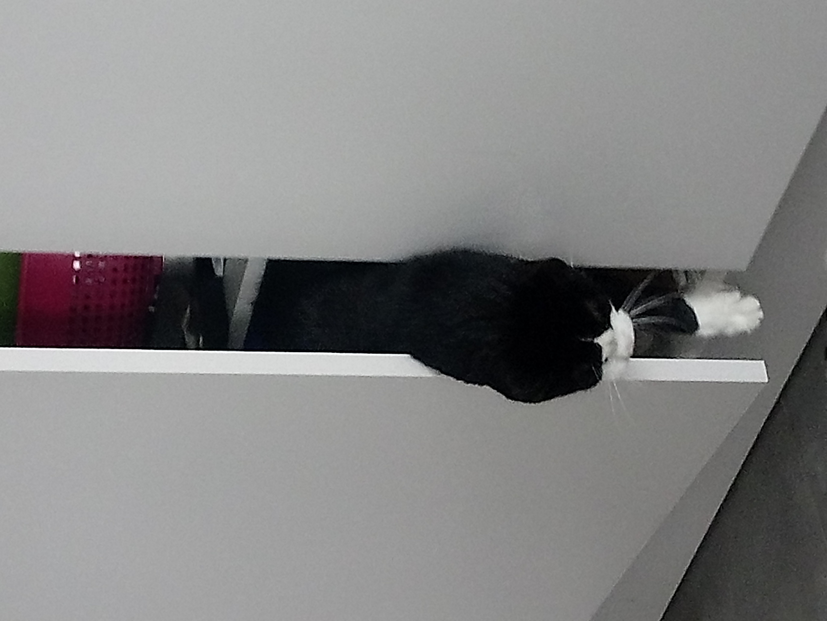 image-10