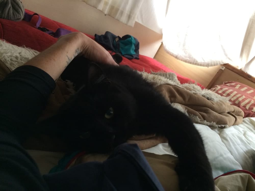 image-4