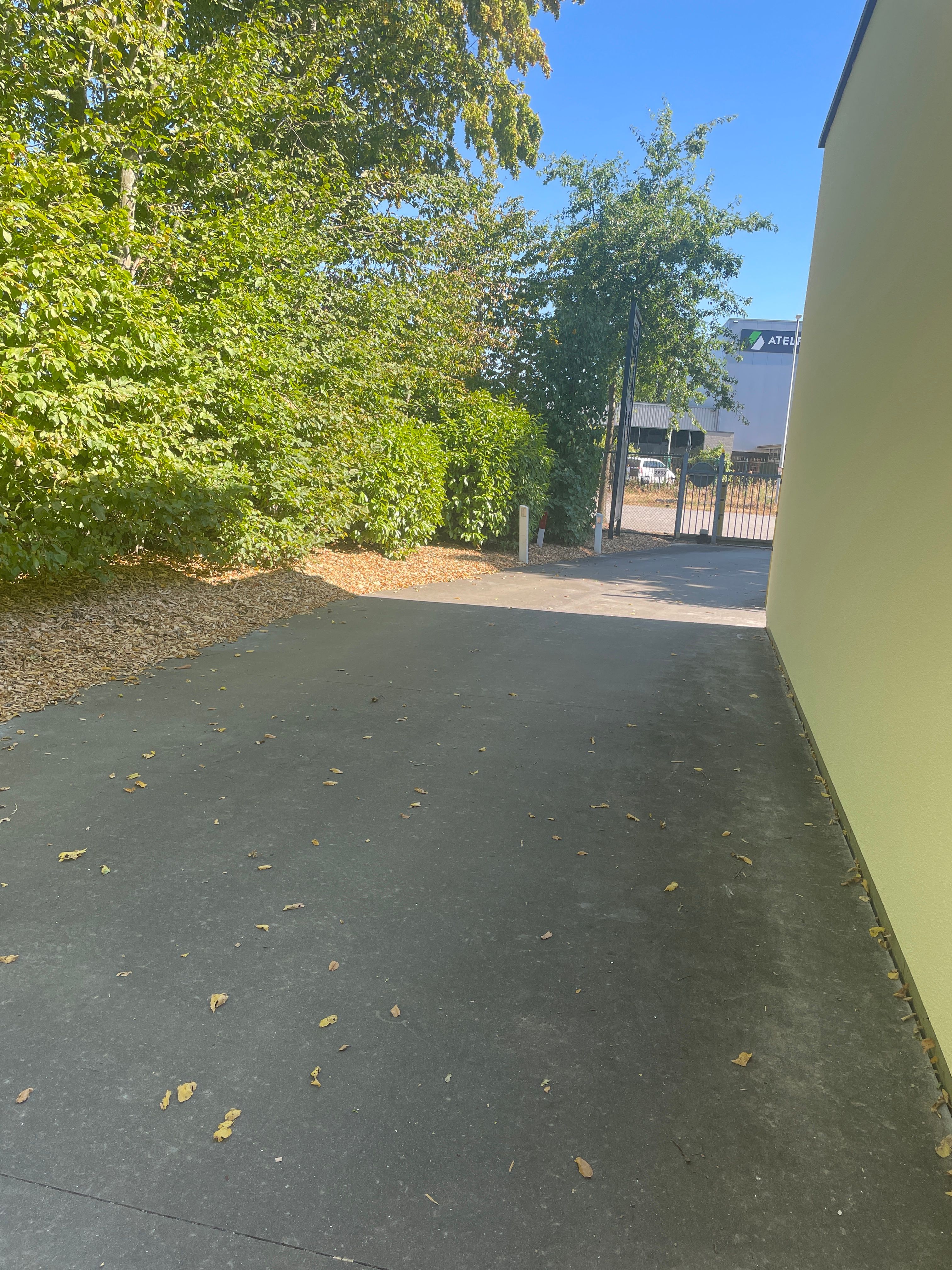 image-15