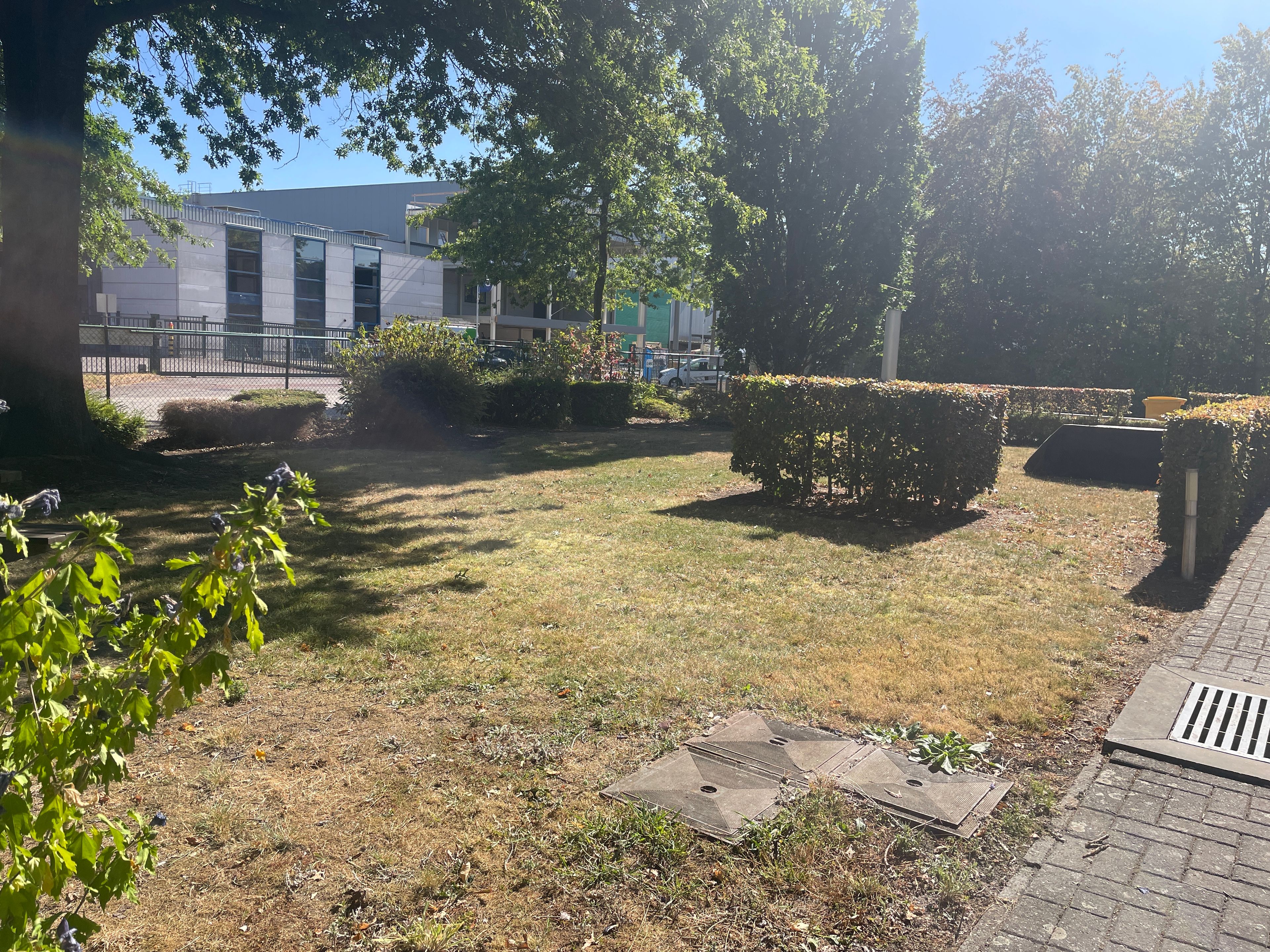 image-14