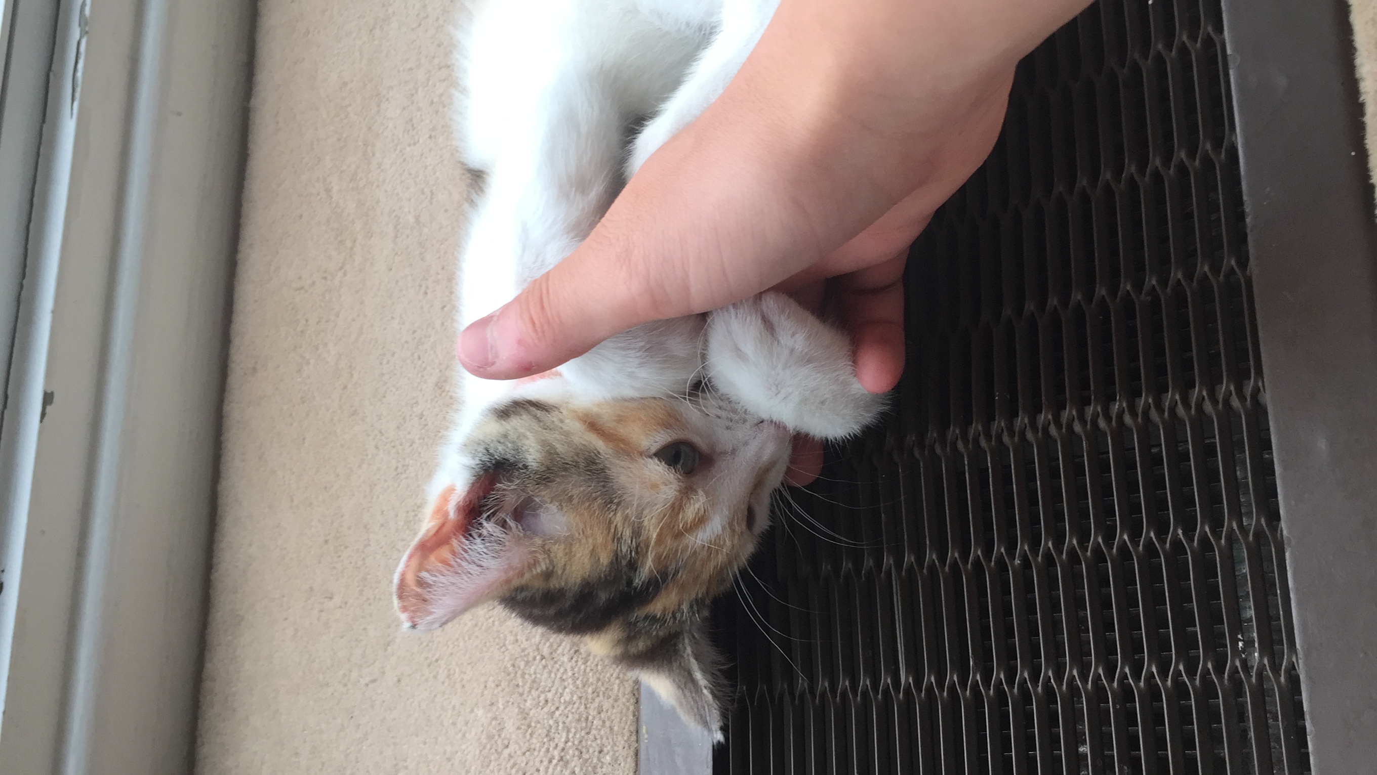image-9