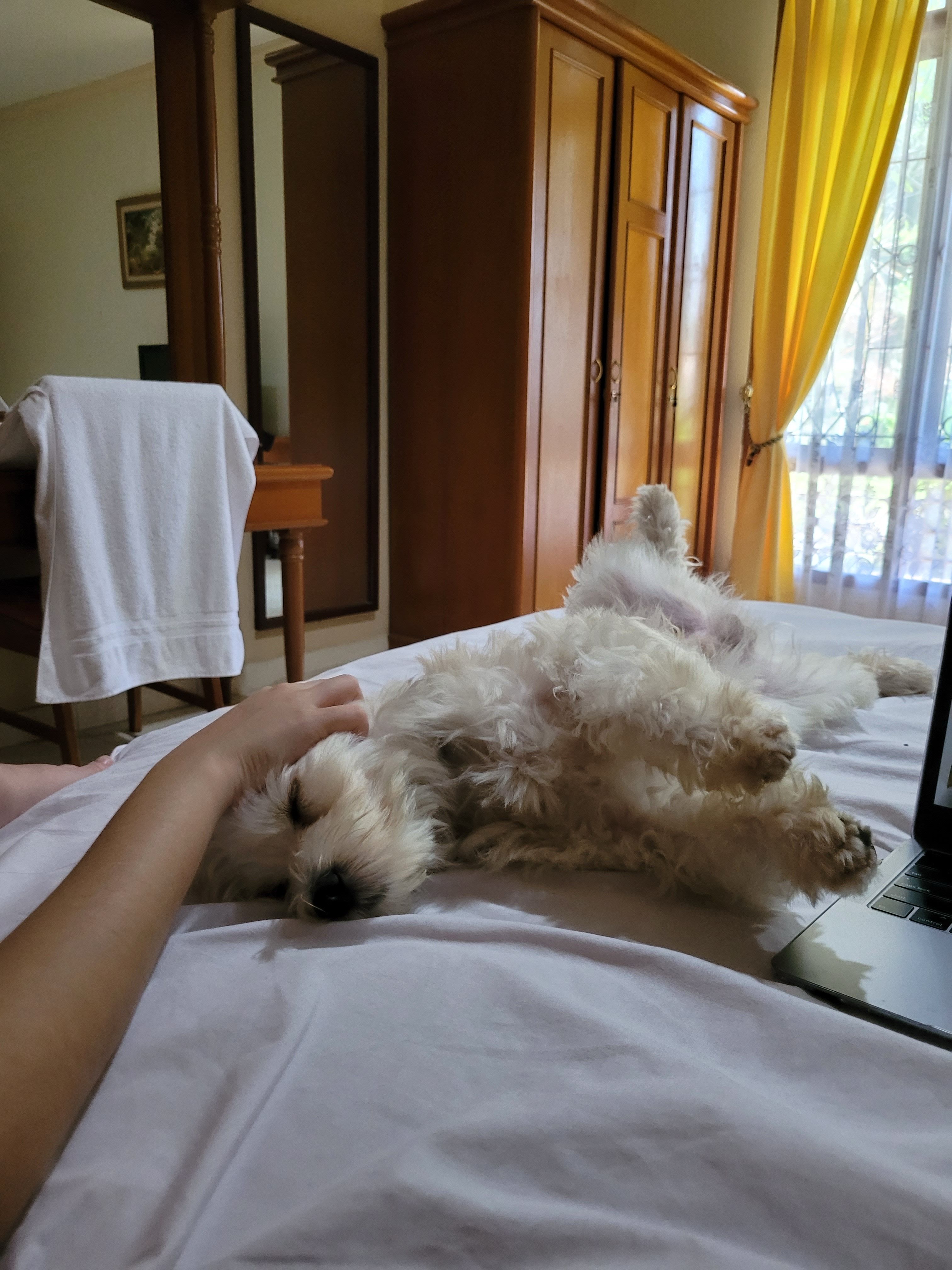 image-10