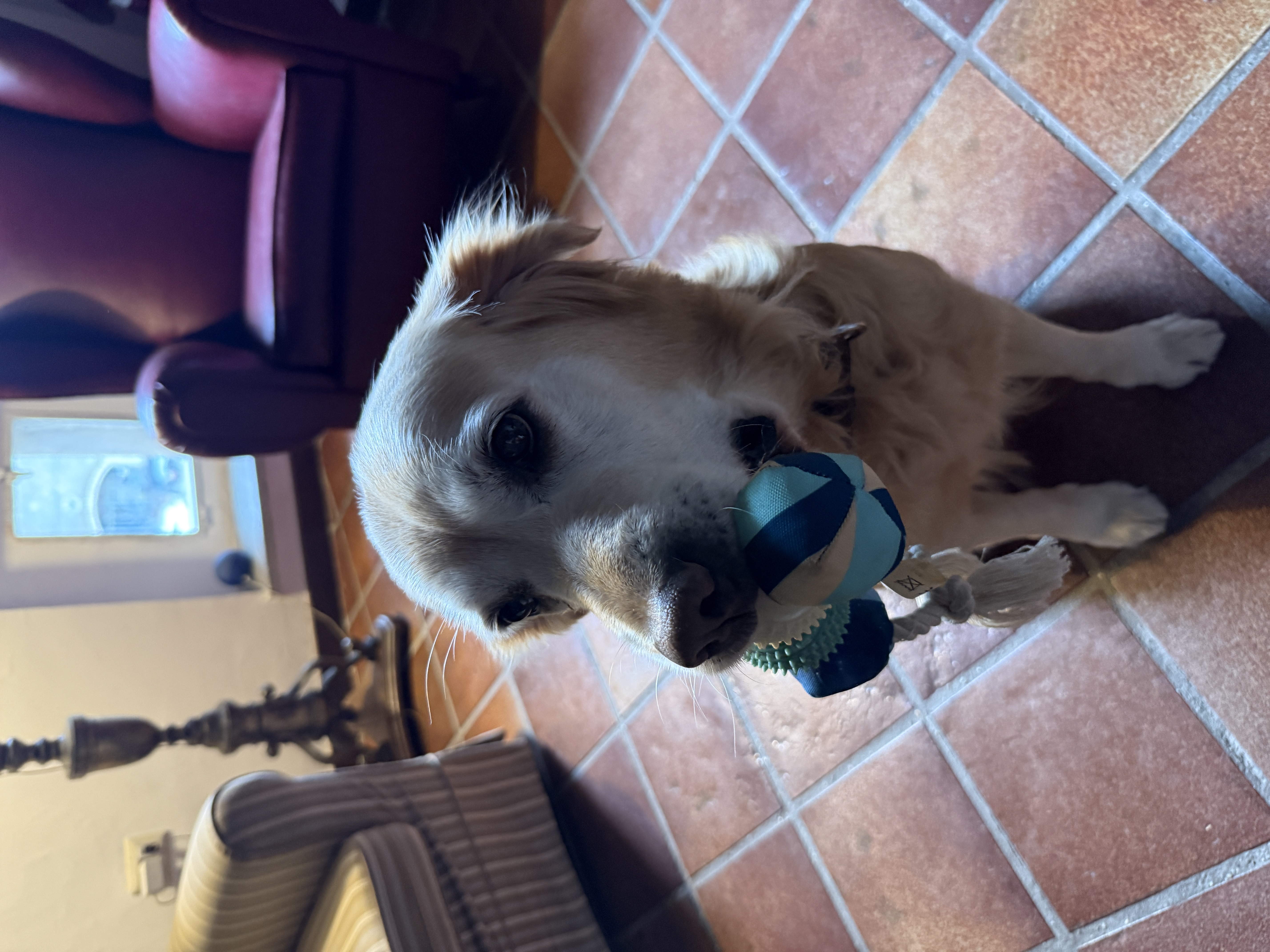 image-6