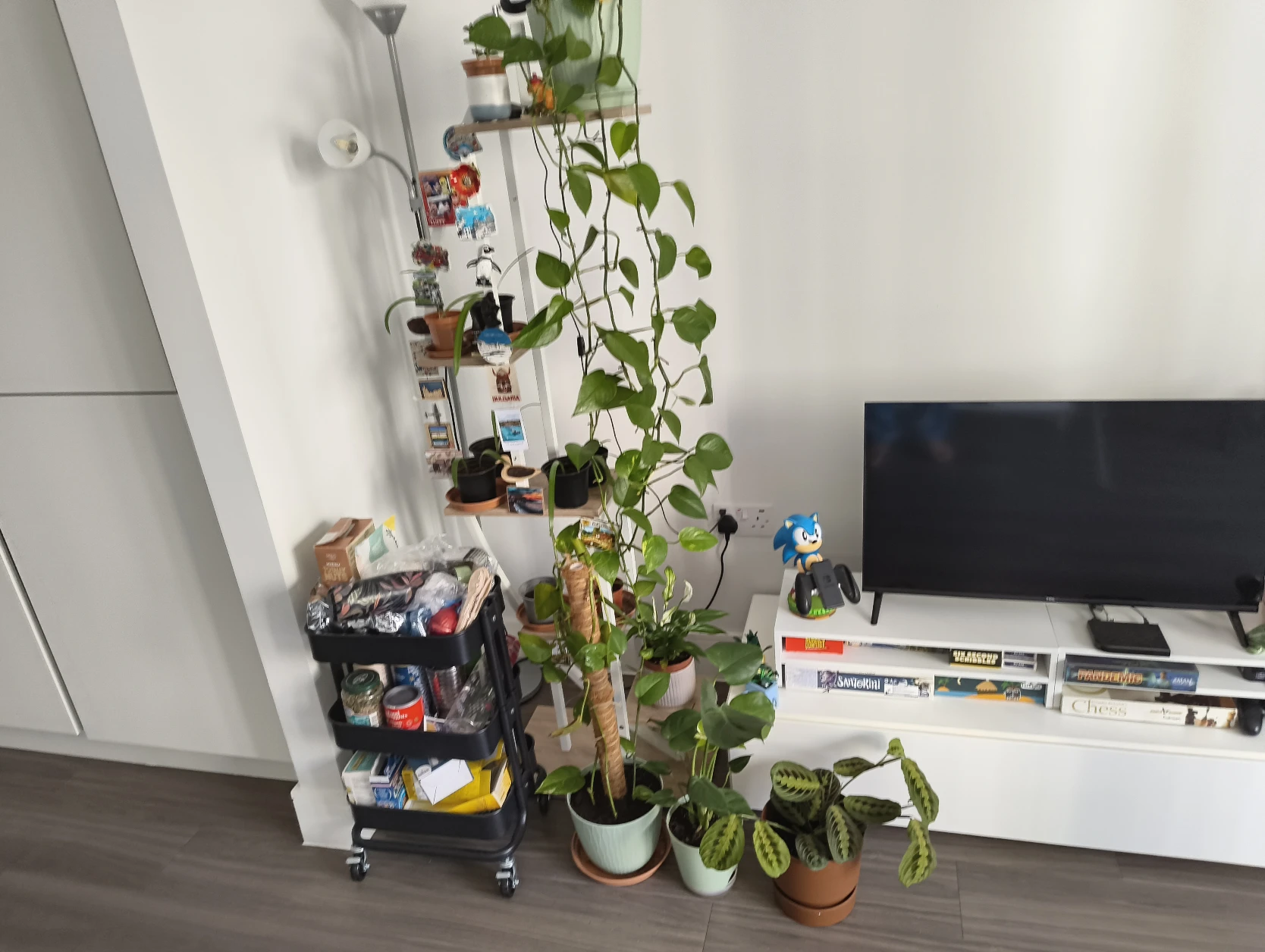 image-14
